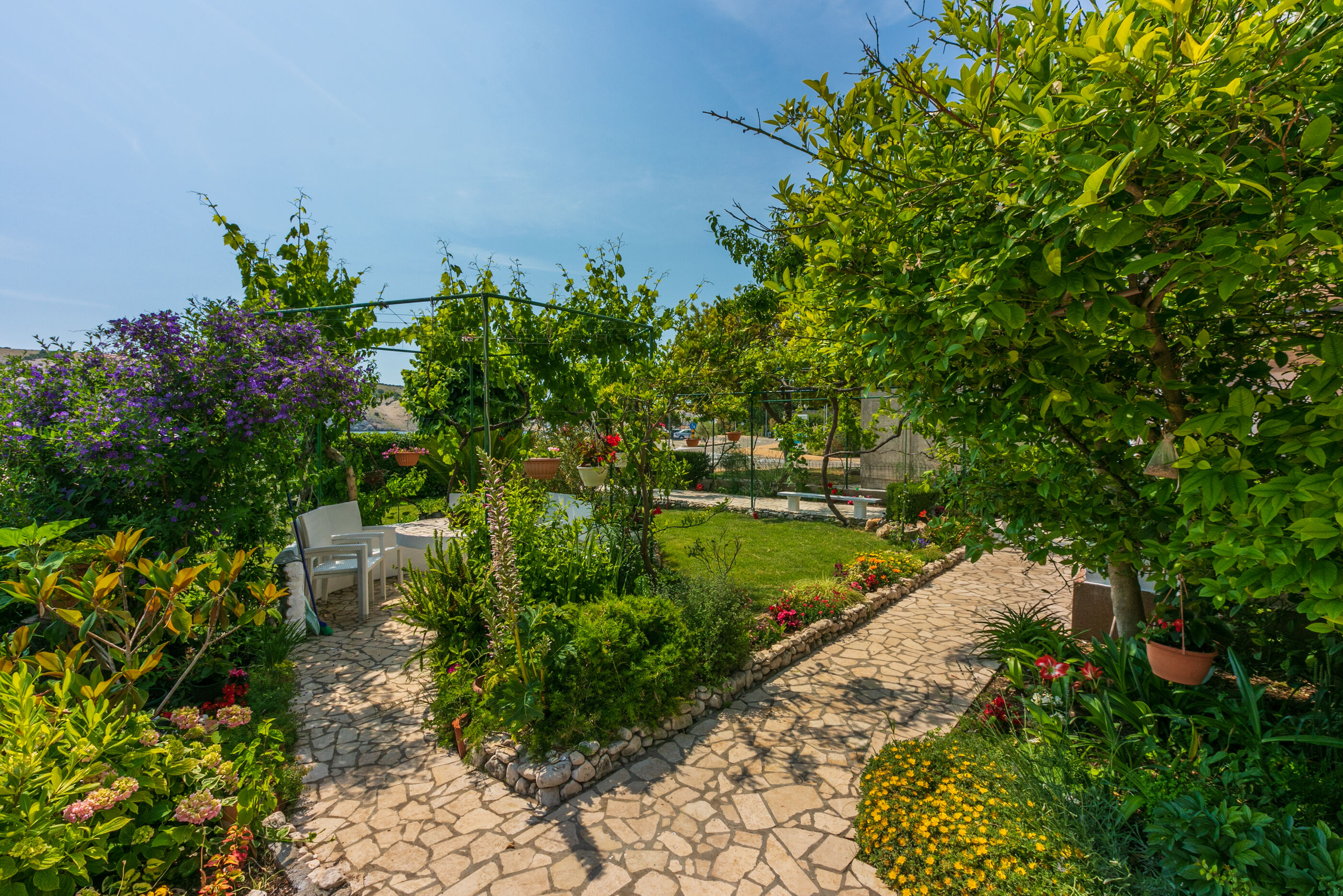 Photo of Apartments Lino