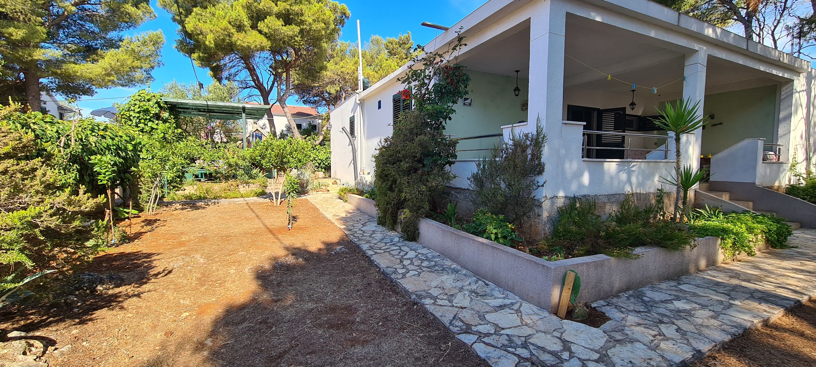 Apartments Antica 49561-A2