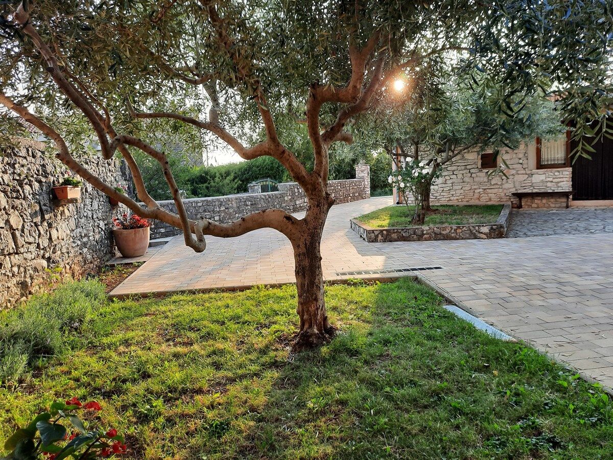 Casa Orihi 16292-K1