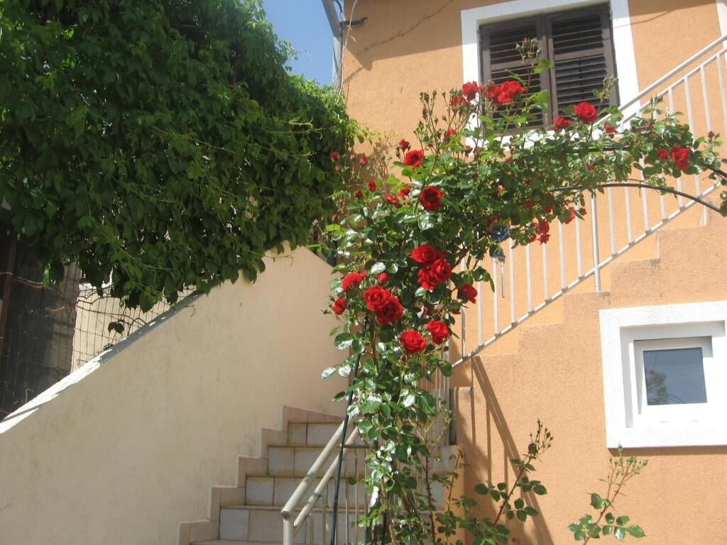 Apartmani Svjetlana A1