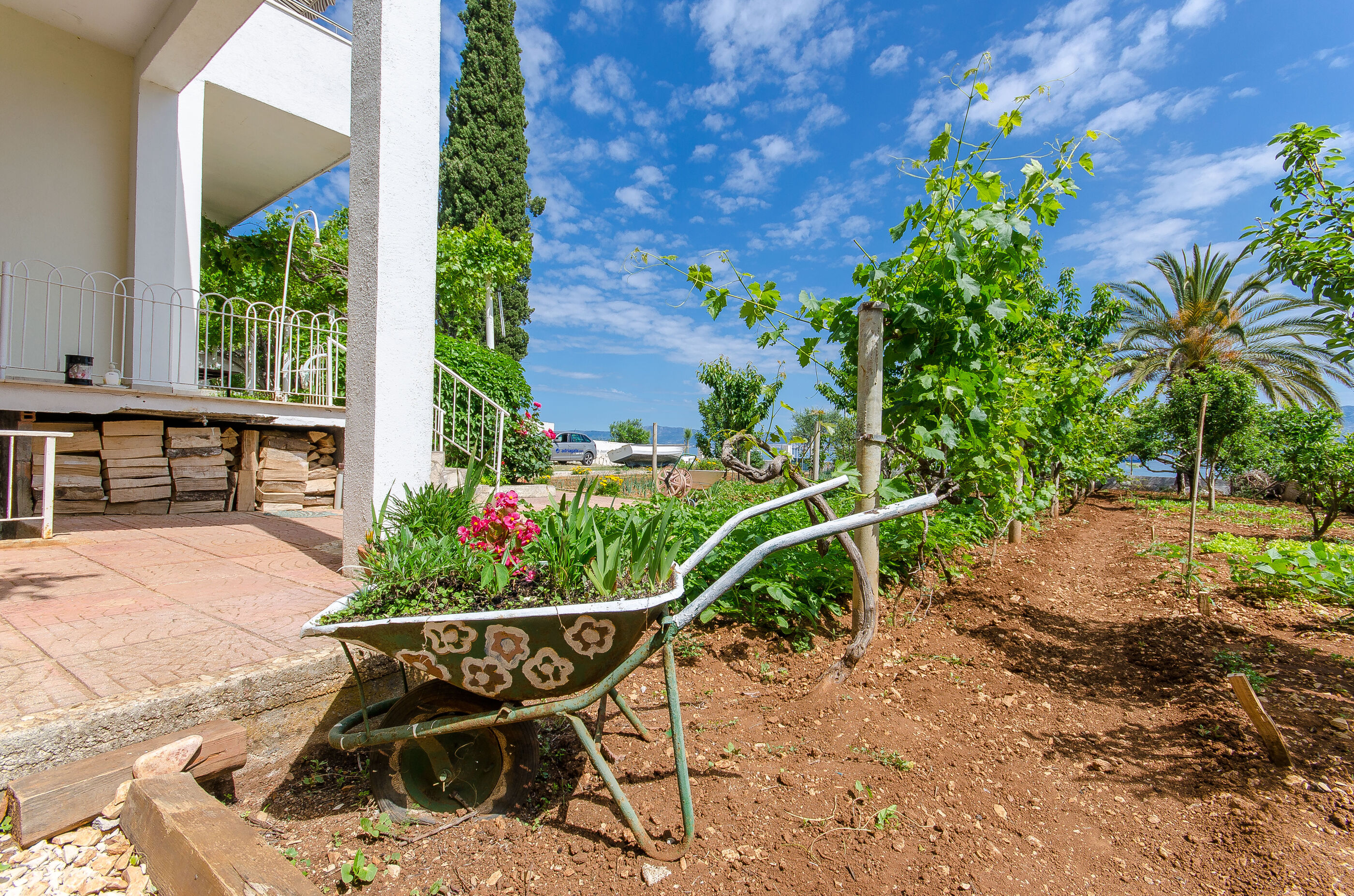 Apartments Jerko 34931-A1