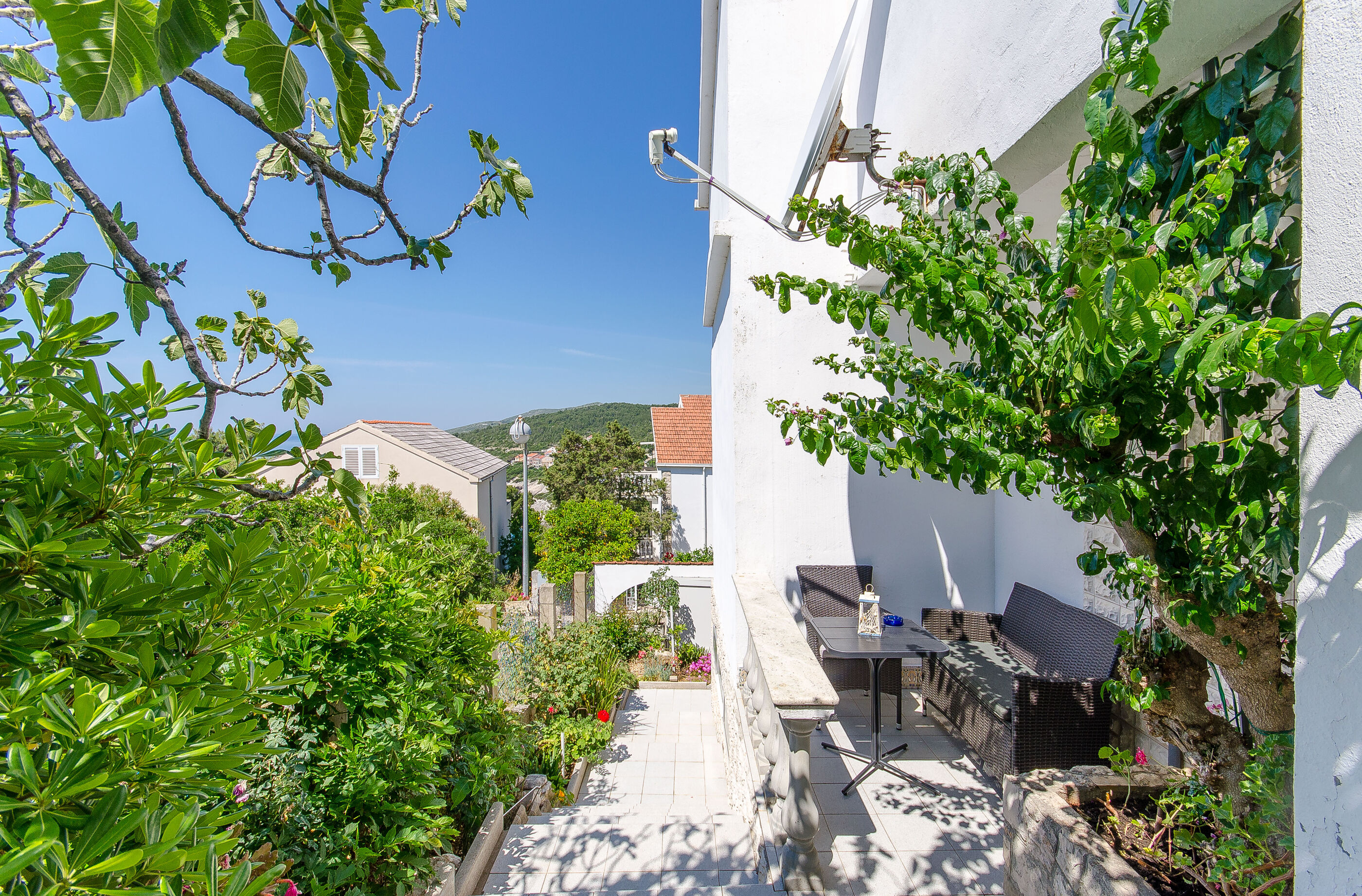 Apartment Ljubica 50991-A1