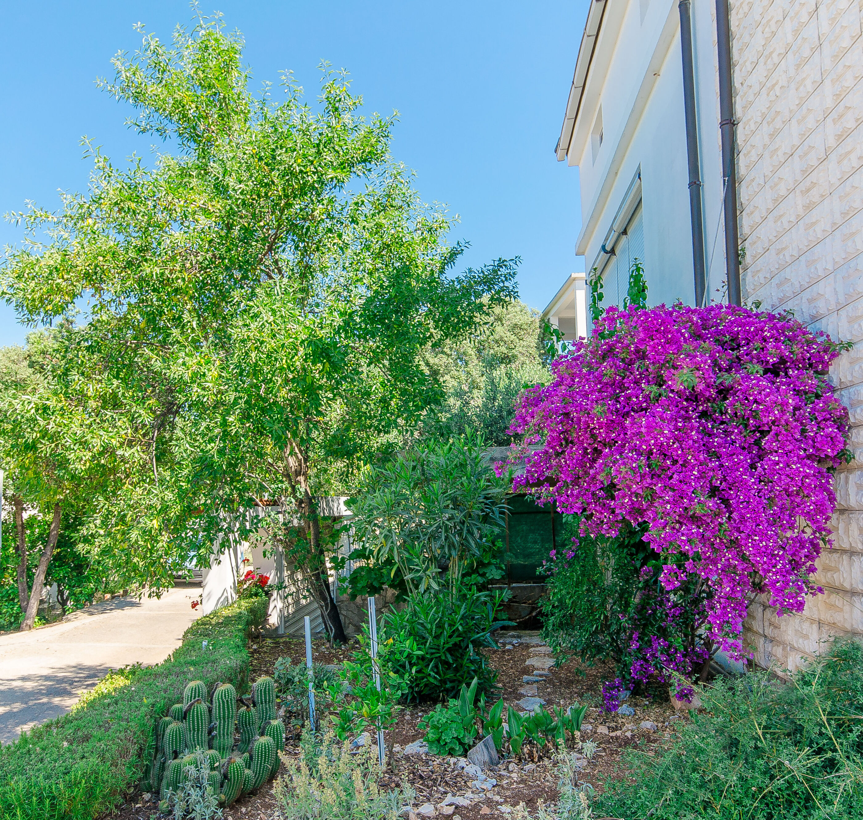Apartment Ljubica 50991-A1