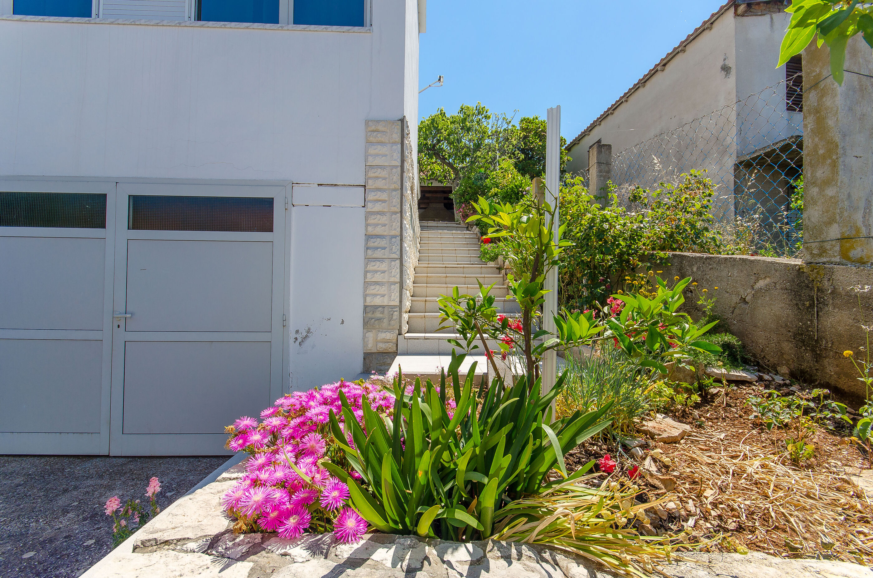 Apartment Ljubica 50991-A1