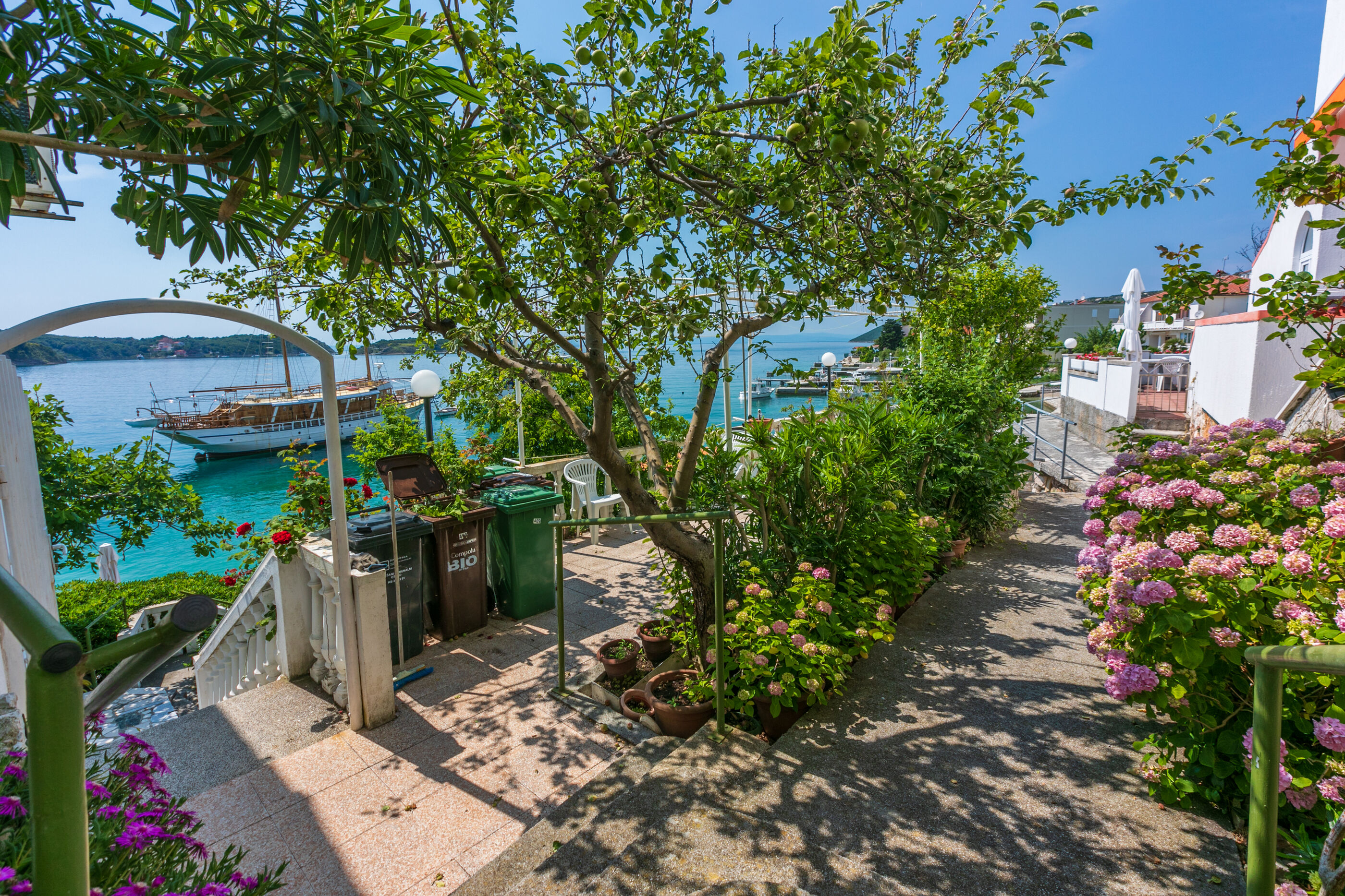 Photo of Apartments Vera