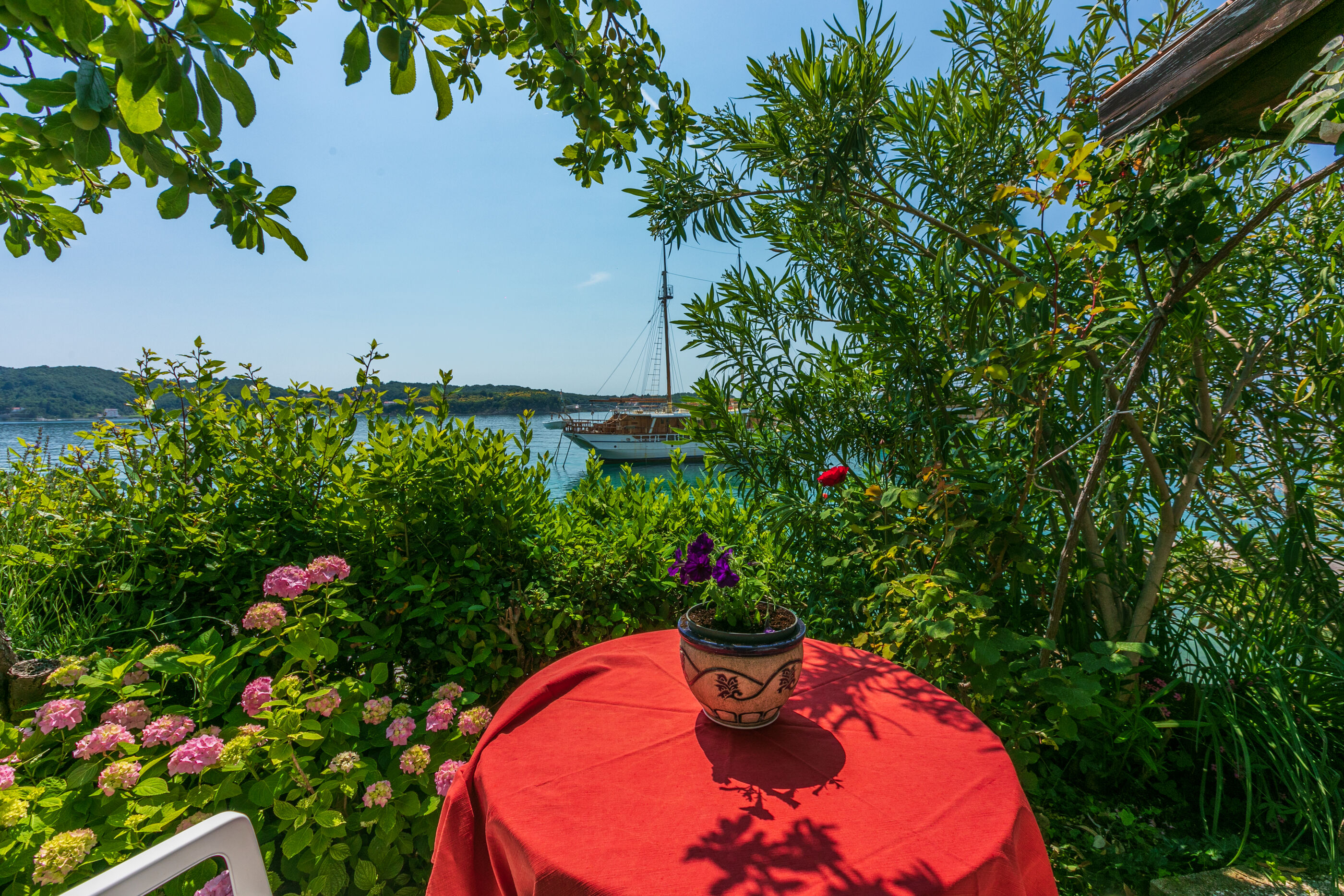 Photo of Apartments Vera