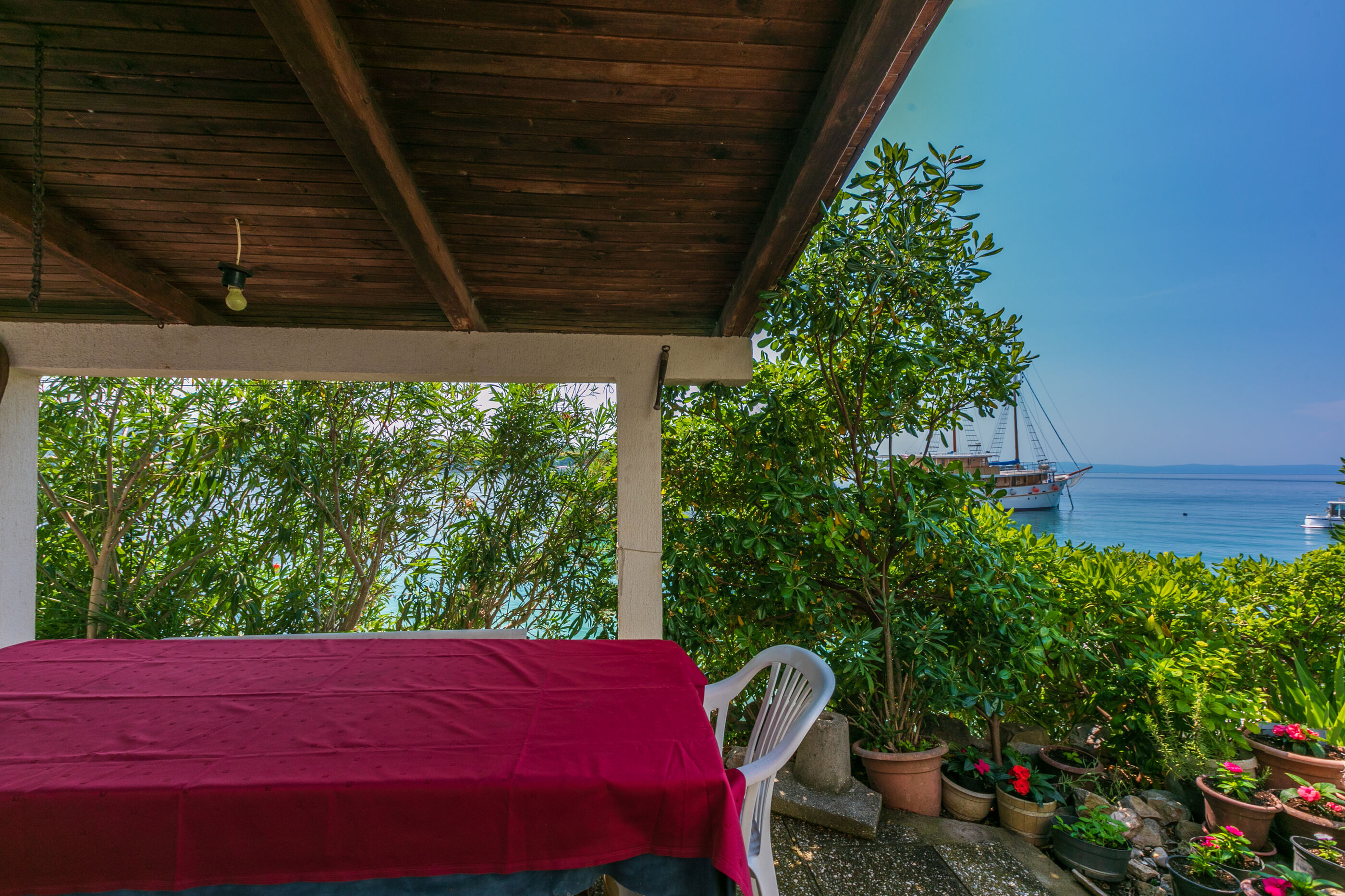 Photo of Apartments Vera