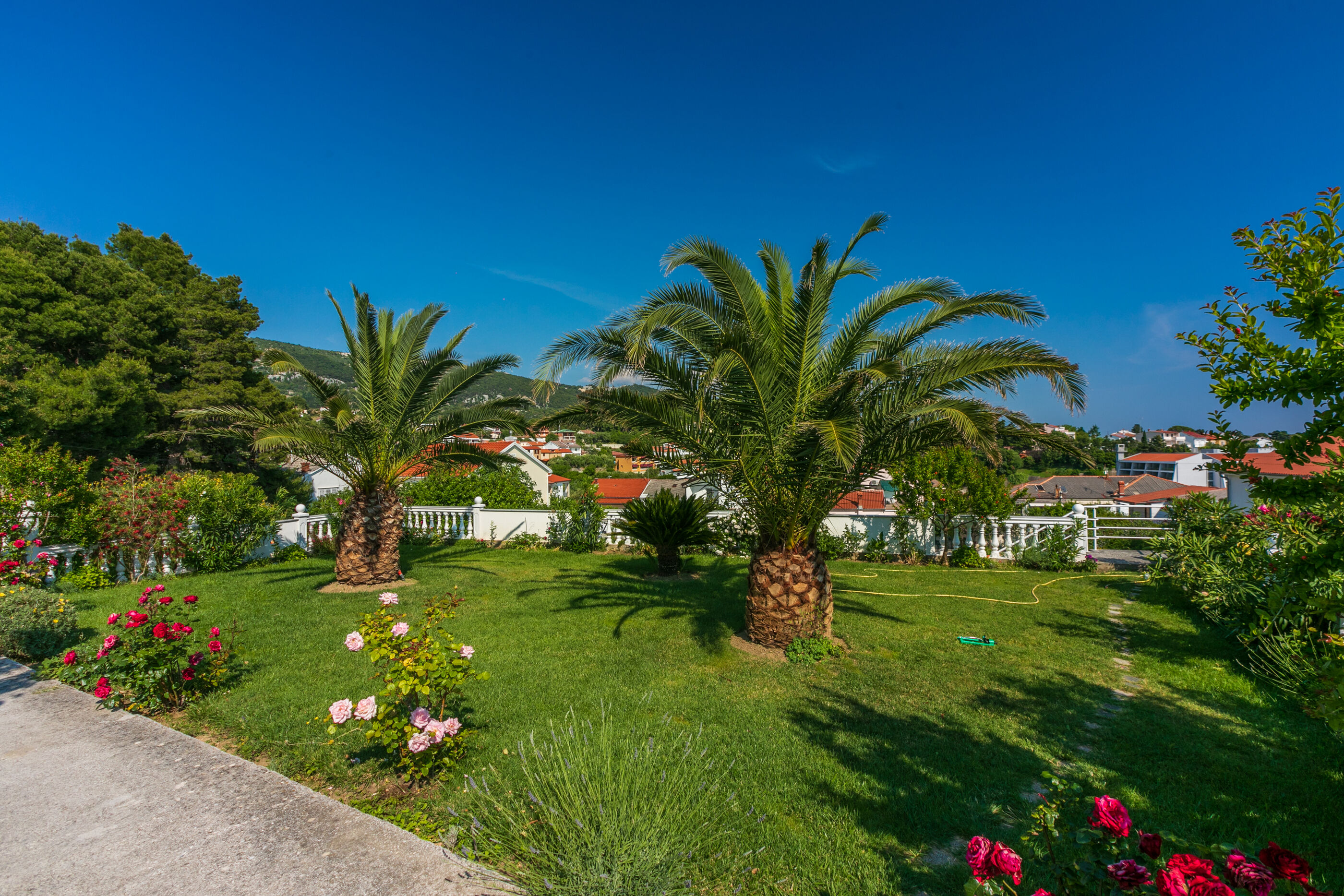 Apartments Vila Antula 66781-A1