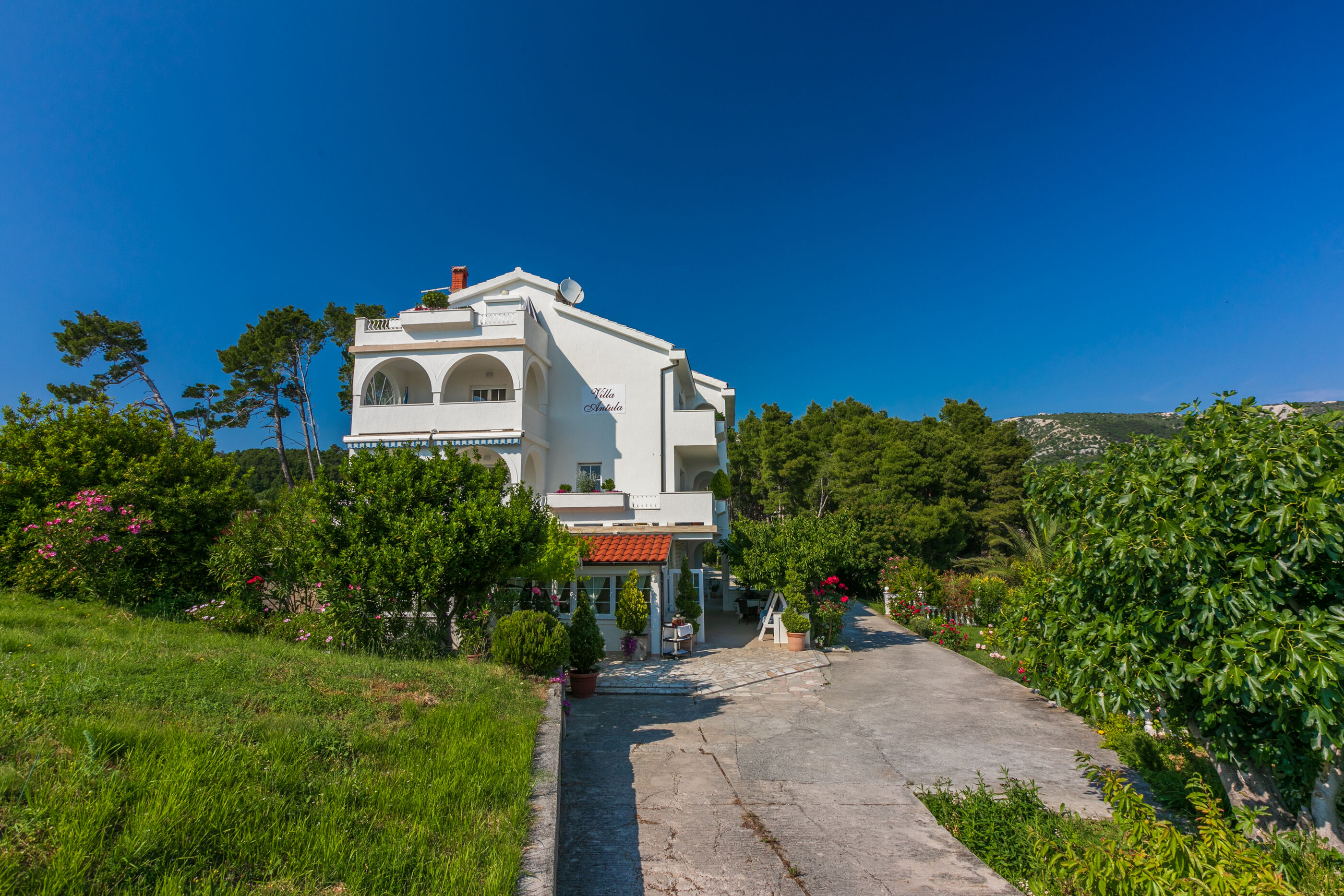 Apartments Vila Antula 66781-A1