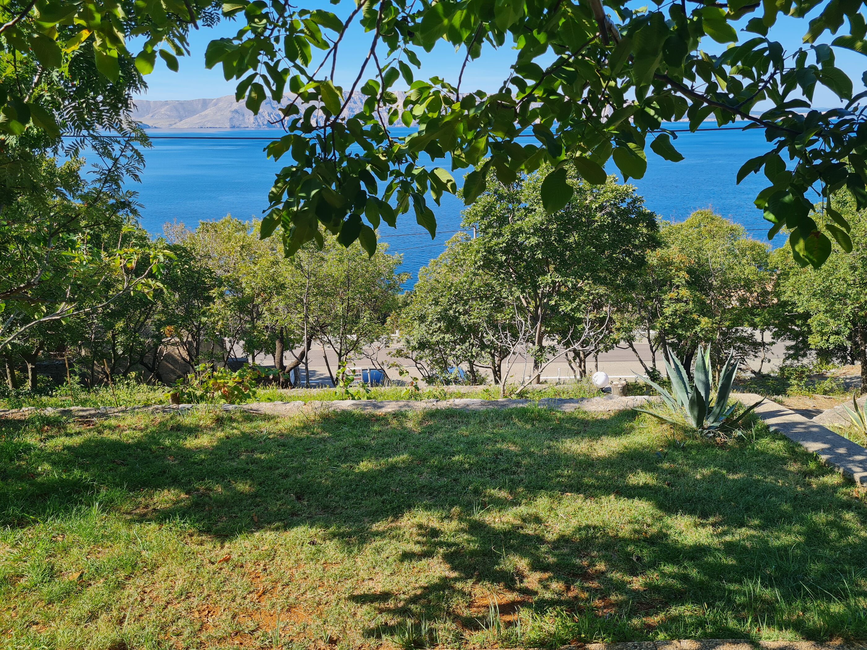Apartments Ljubica 69231-A1