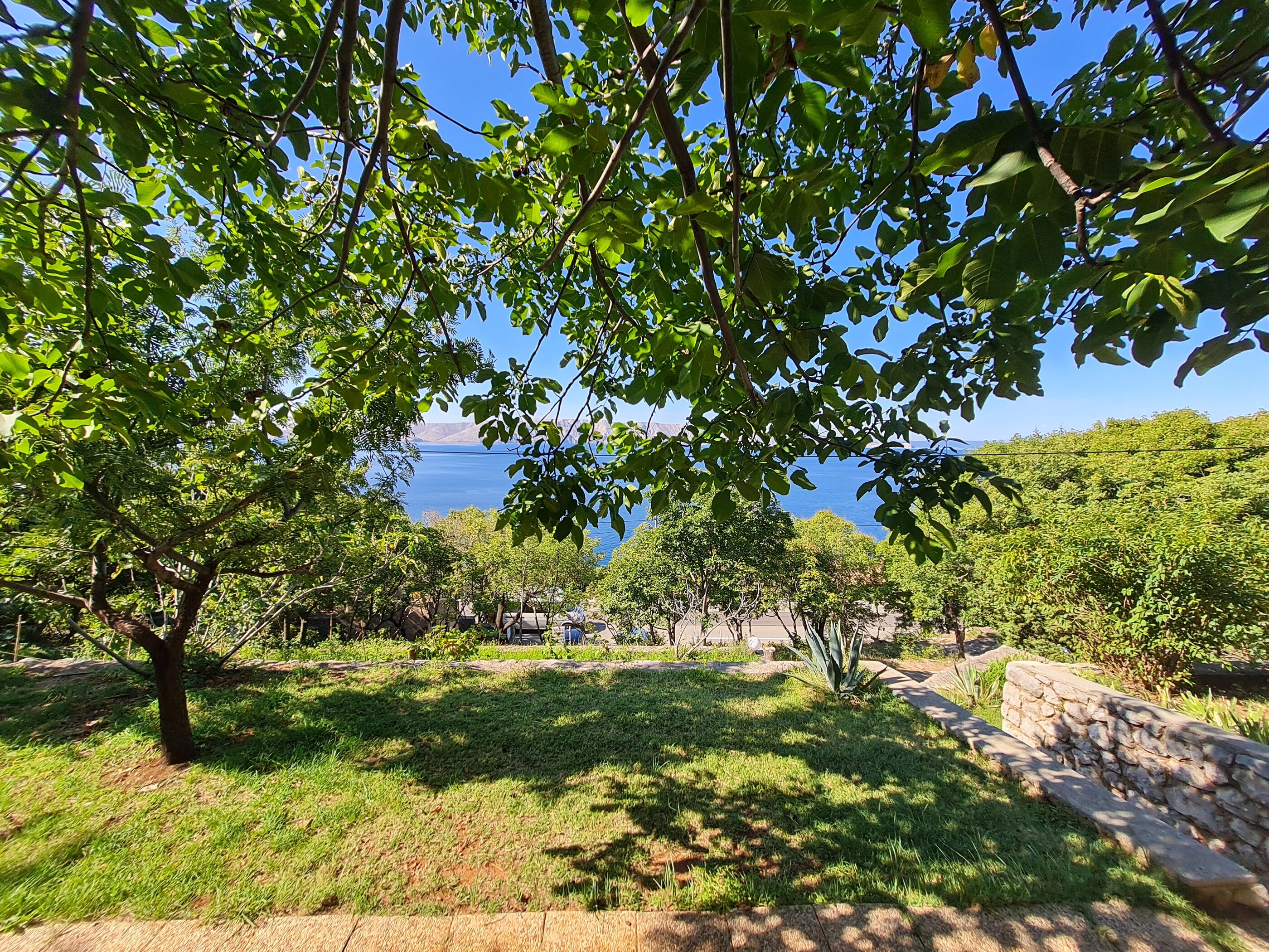 Apartments Ljubica 69231-A1