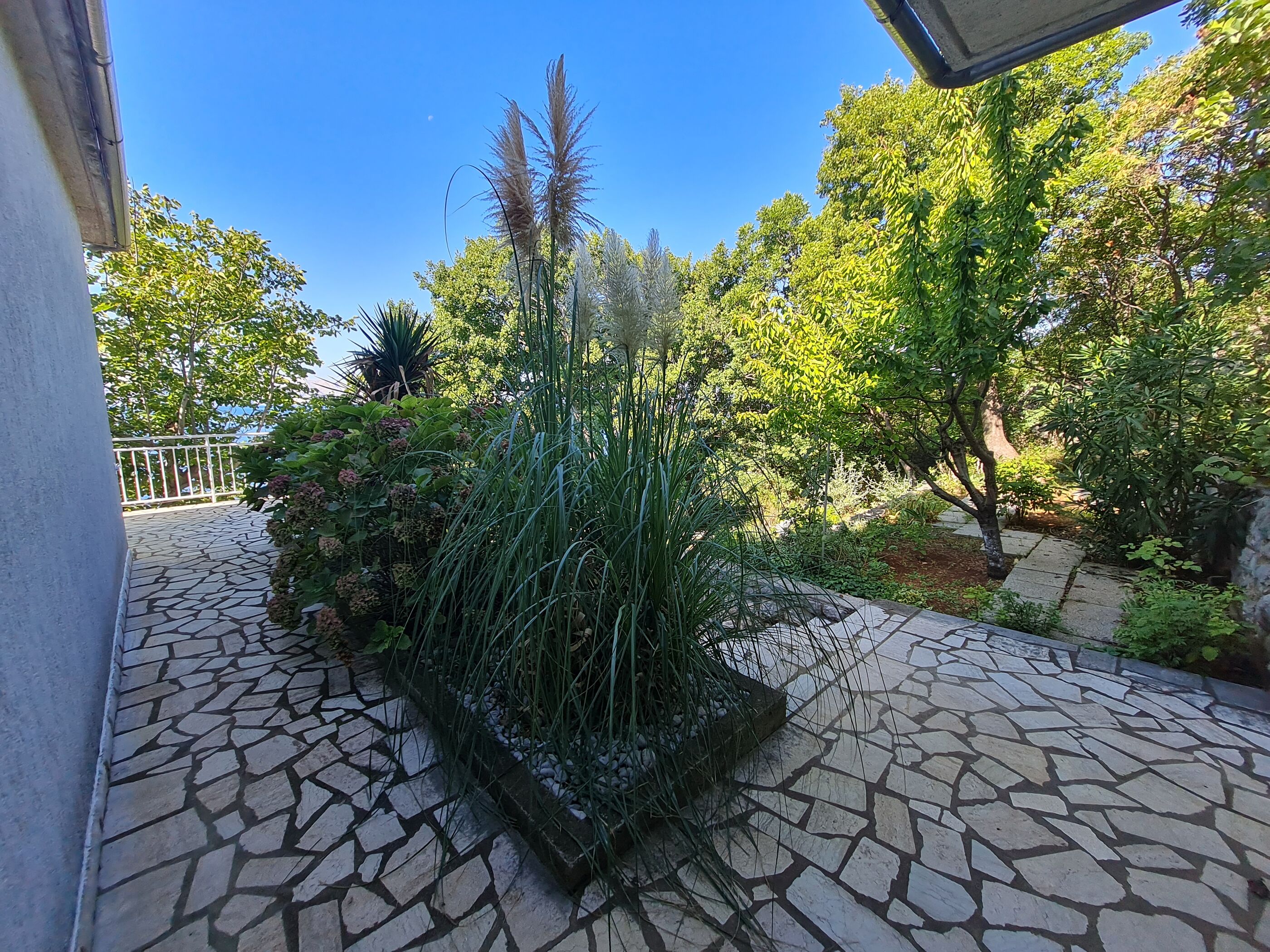Apartments Ljubica 69231-A2