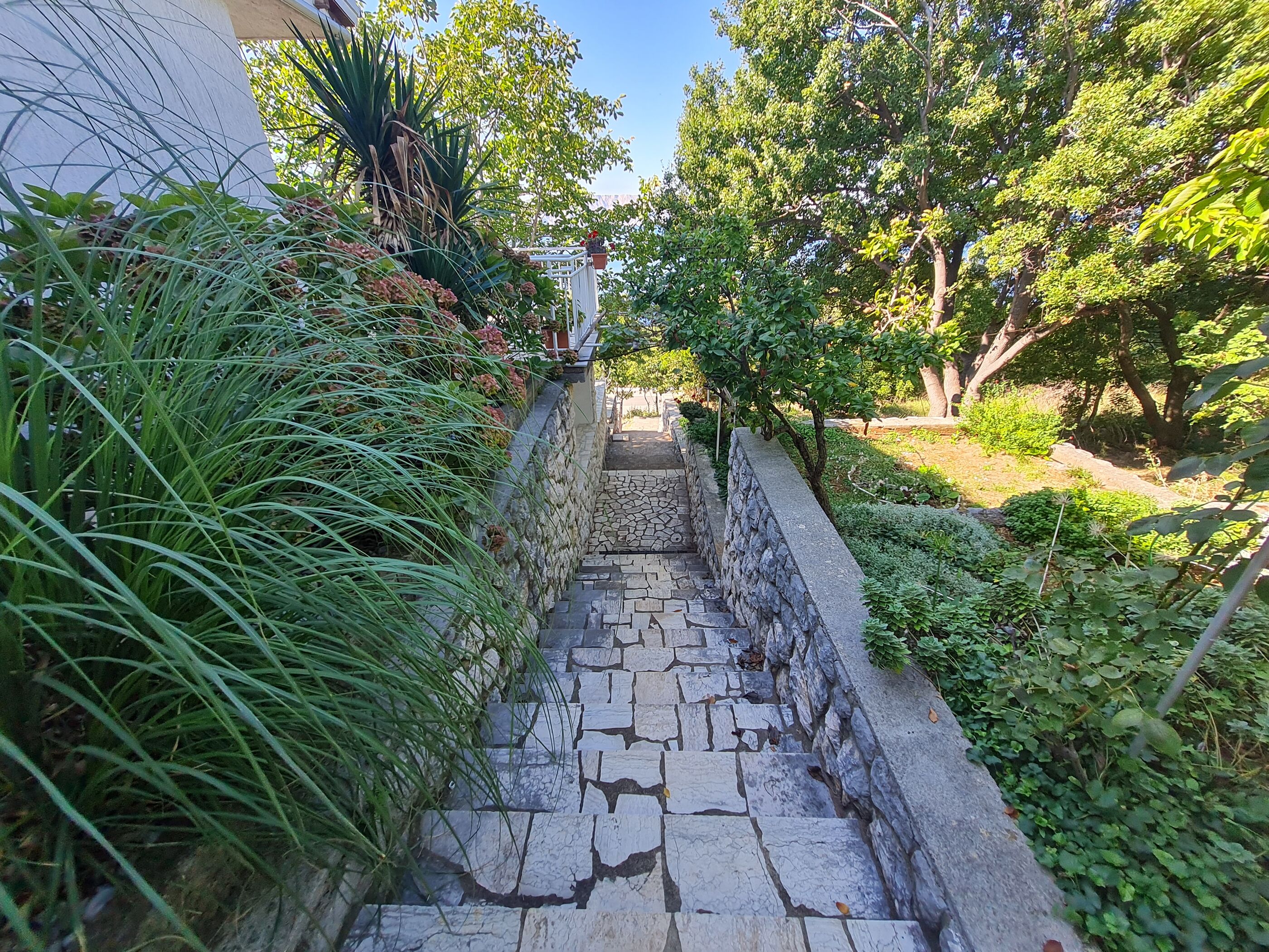 Apartments Ljubica 69231-A2