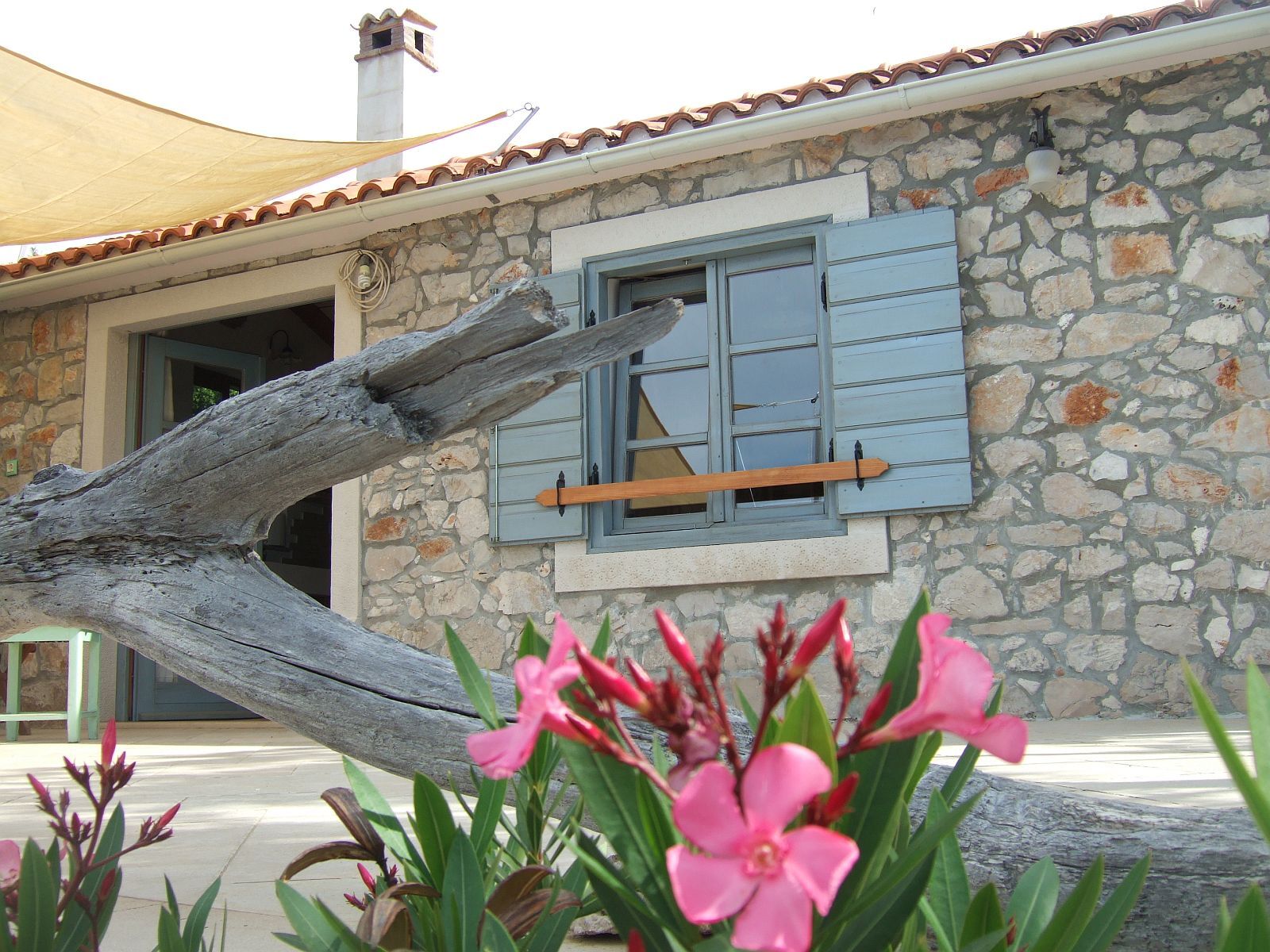 House Lemon Tree 14615-K1