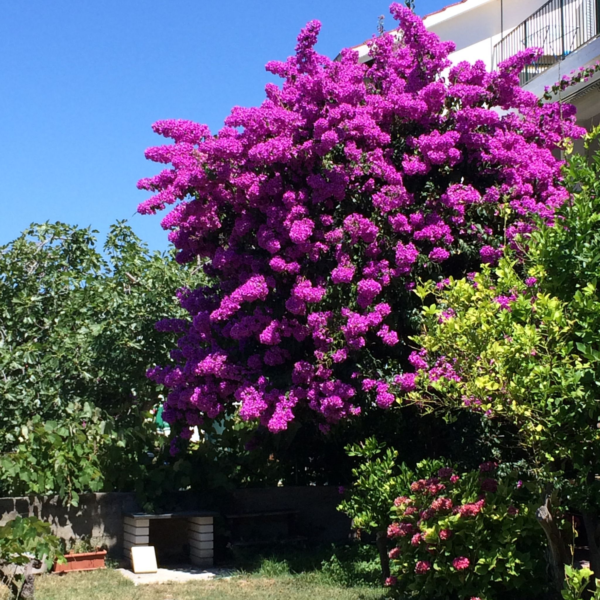 Apartment Villa Strenja 82831-A1