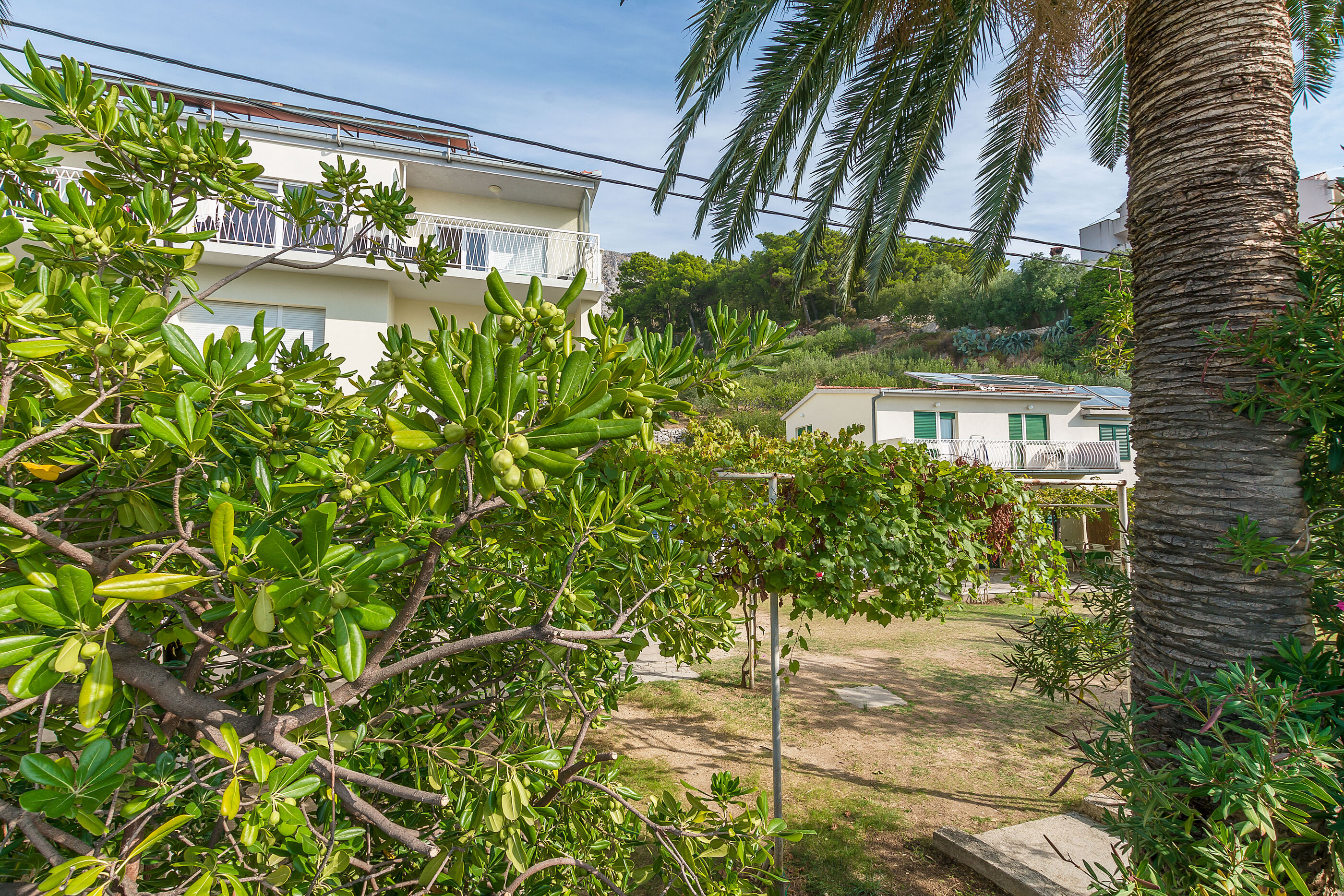 Apartments Marija 31711-A11