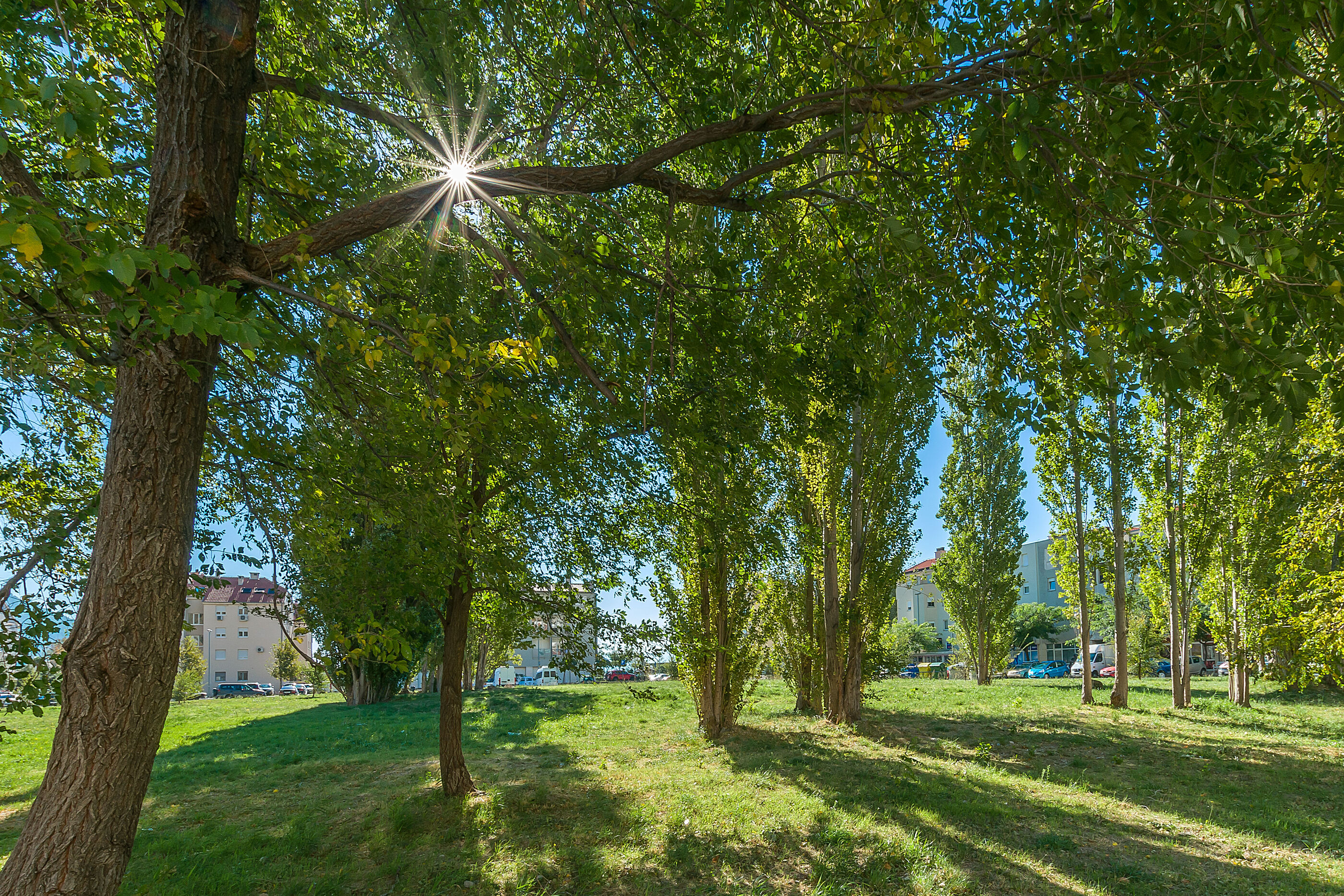 Apartment Ivana 78652-A1