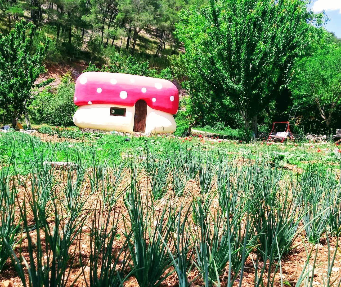 House Fairytale Village Mushroom 24741-K1