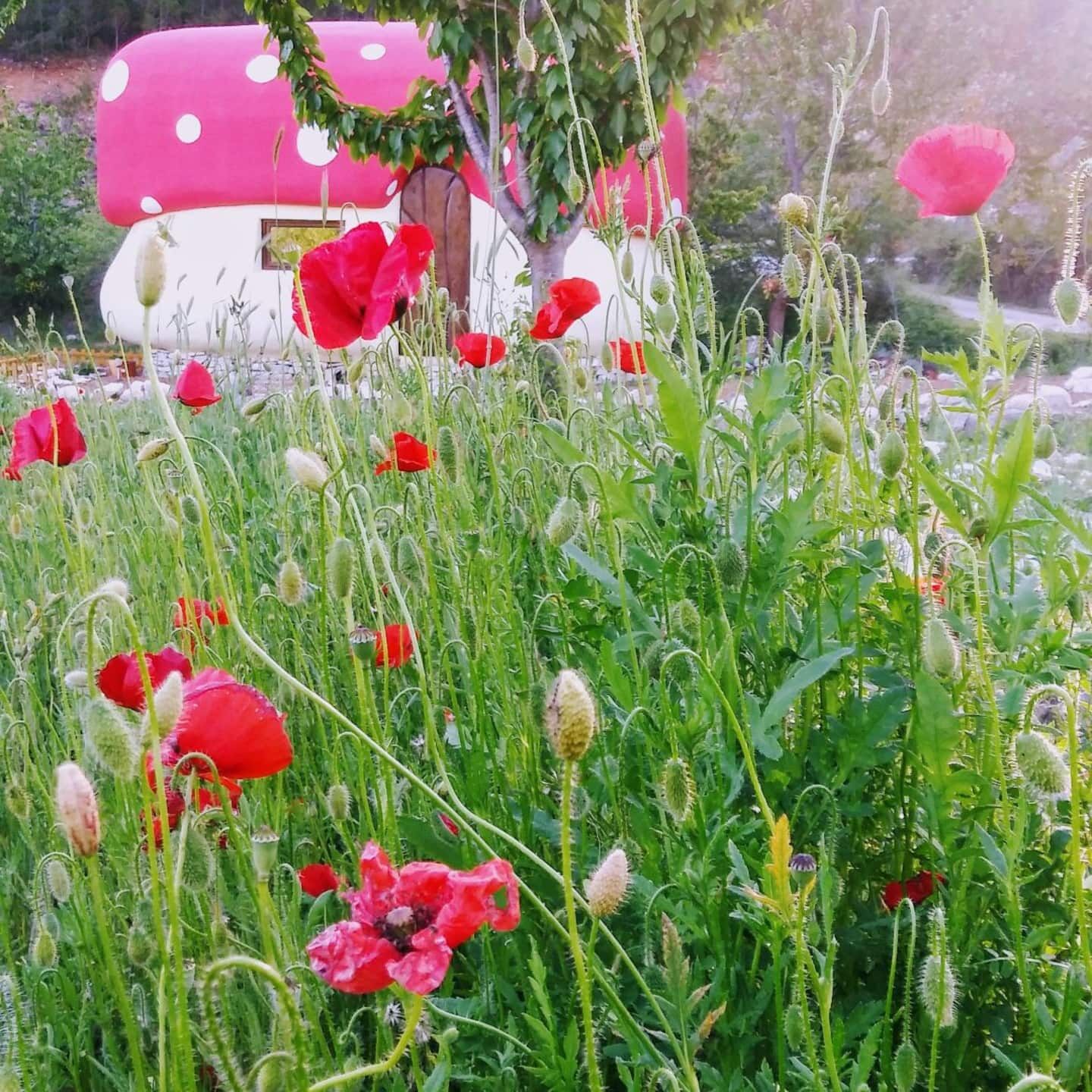 House Fairytale Village Mushroom 24741-K1