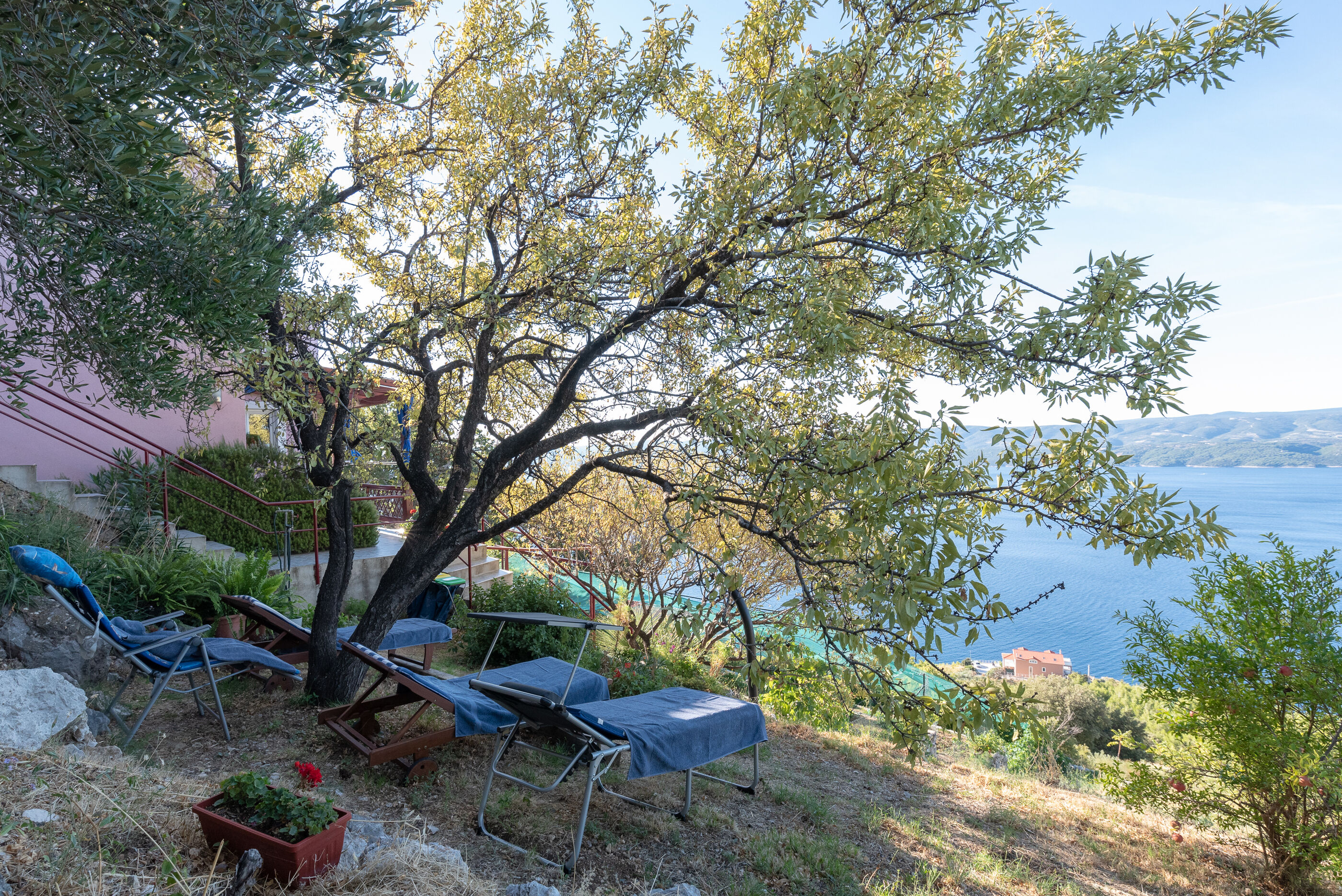 House Panorama 81771-K1
