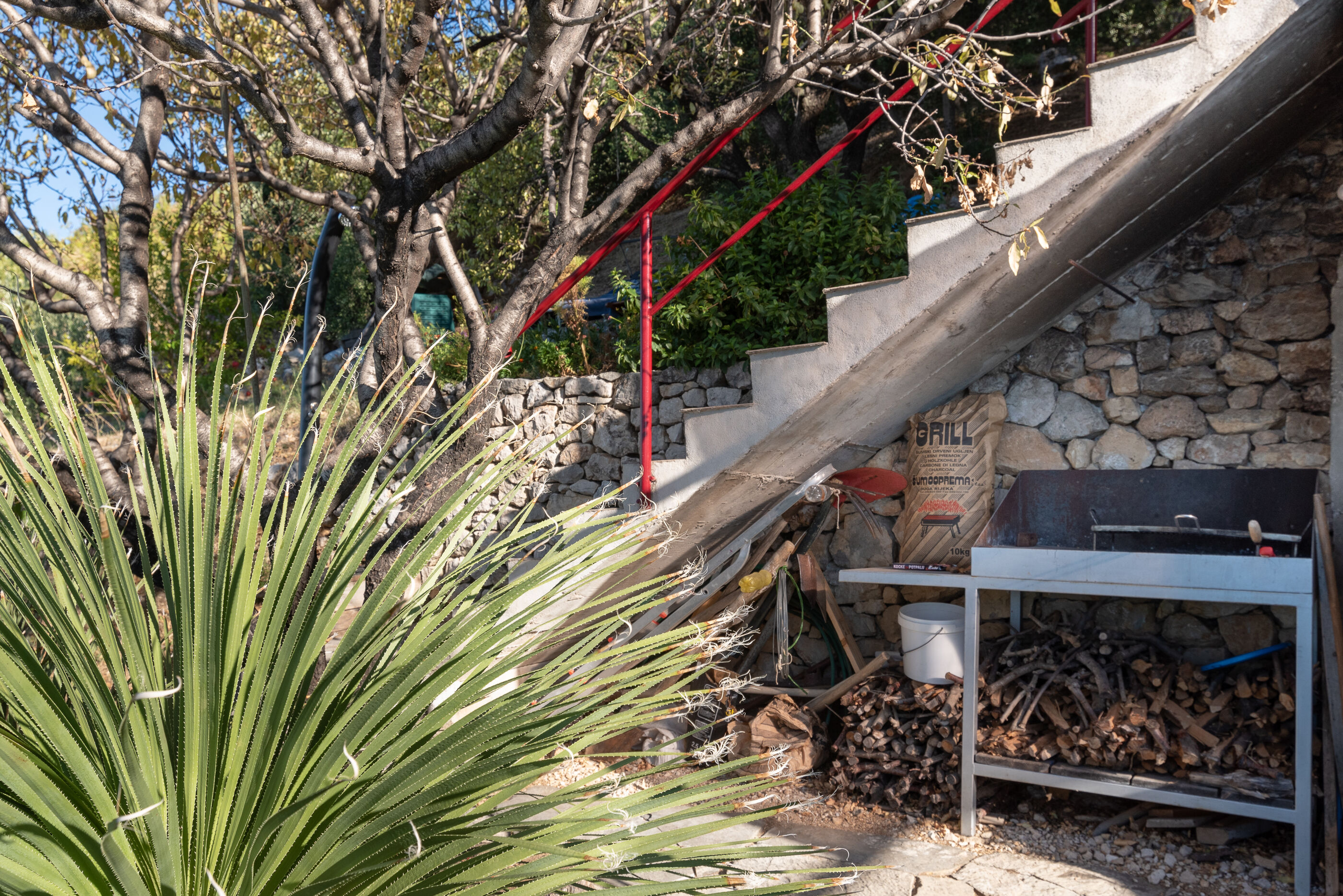 House Panorama 81771-K1
