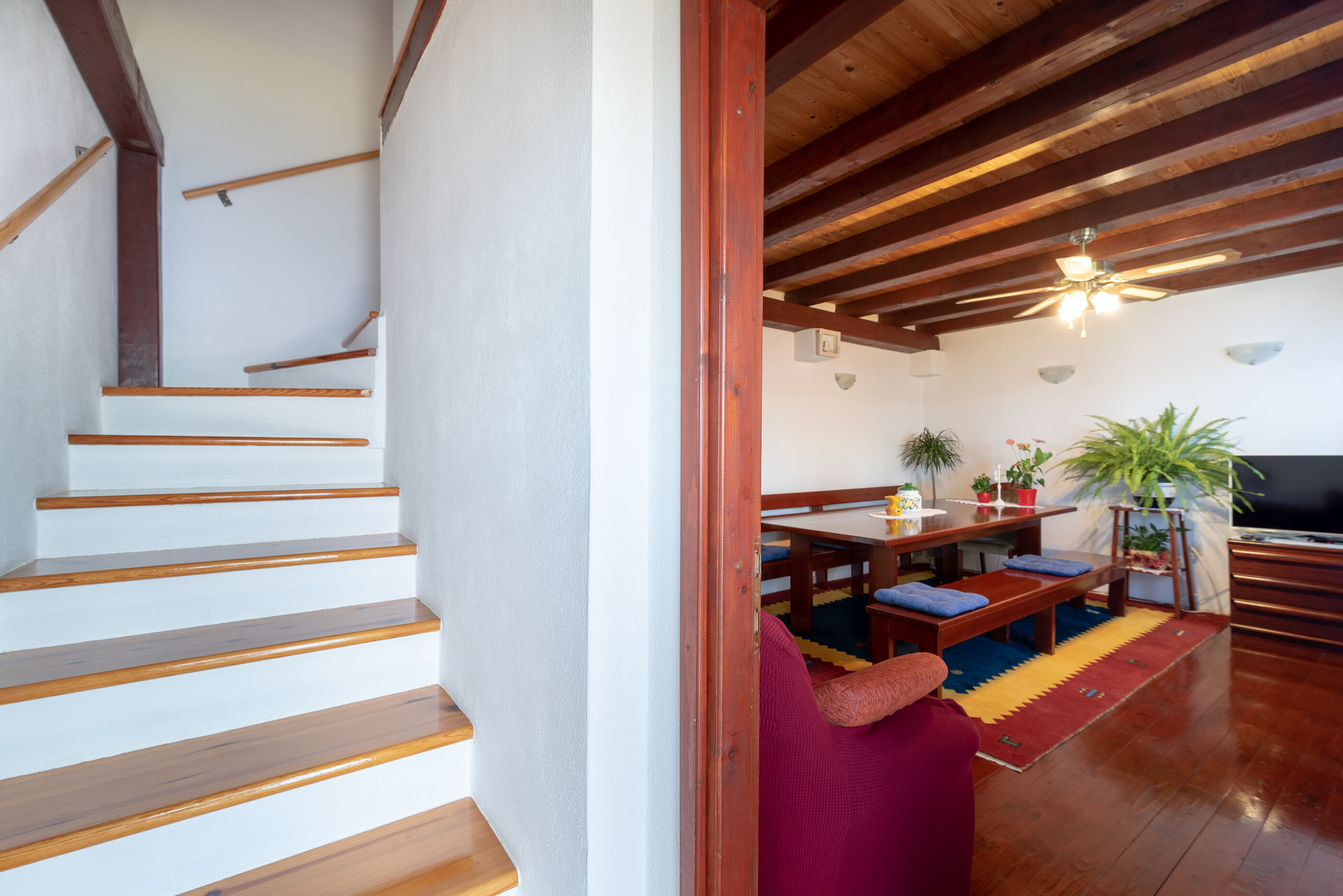 House Panorama 81771-K1