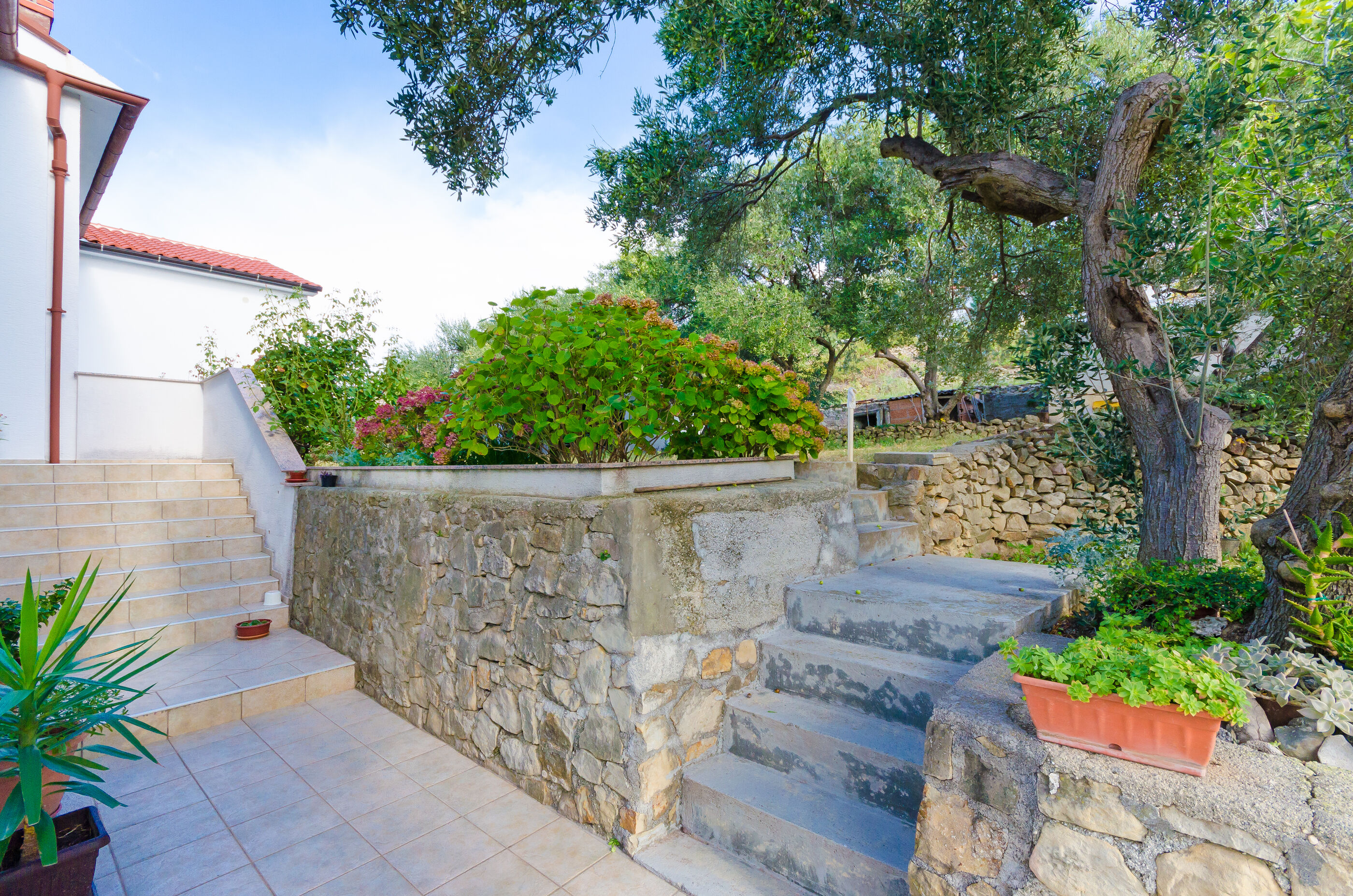 Photo of Apartment Ivanka