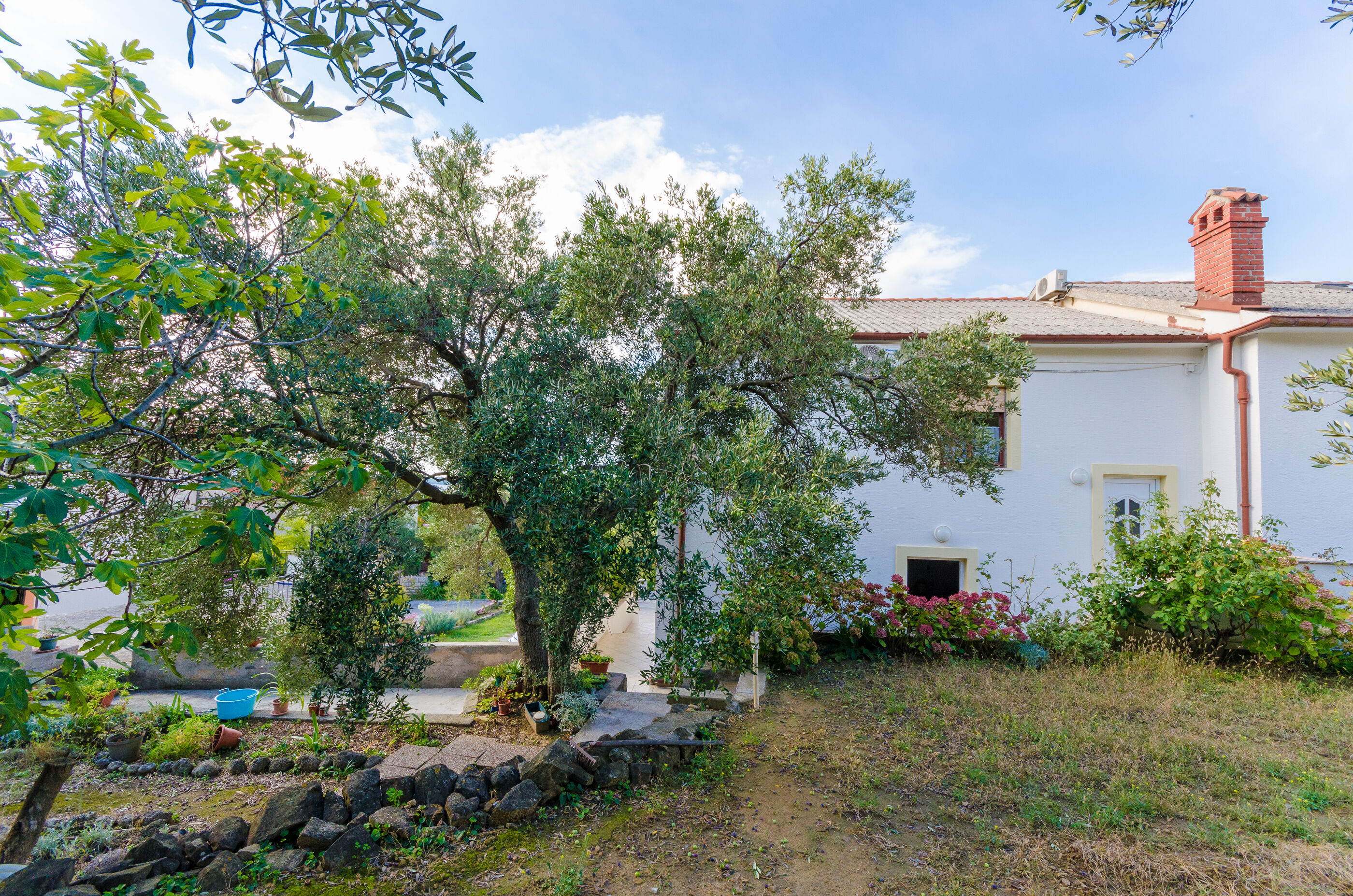 Photo of Apartment Ivanka