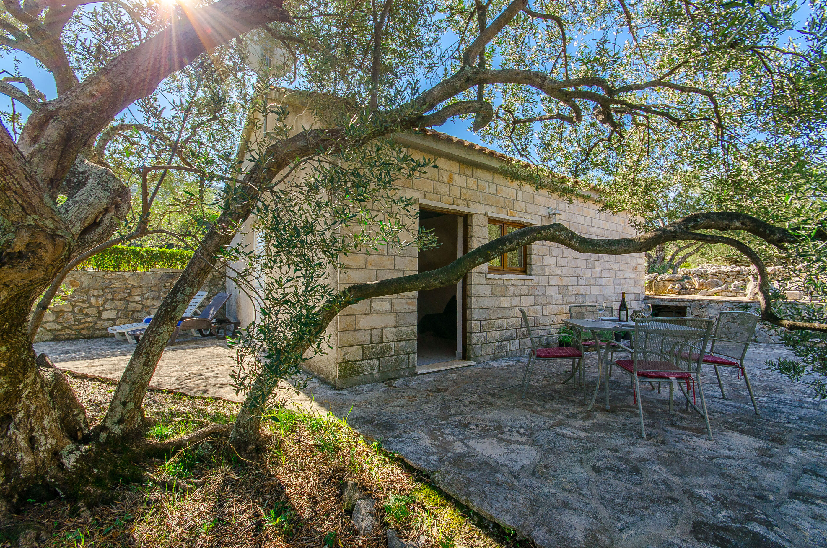 House Petar 51532-K1