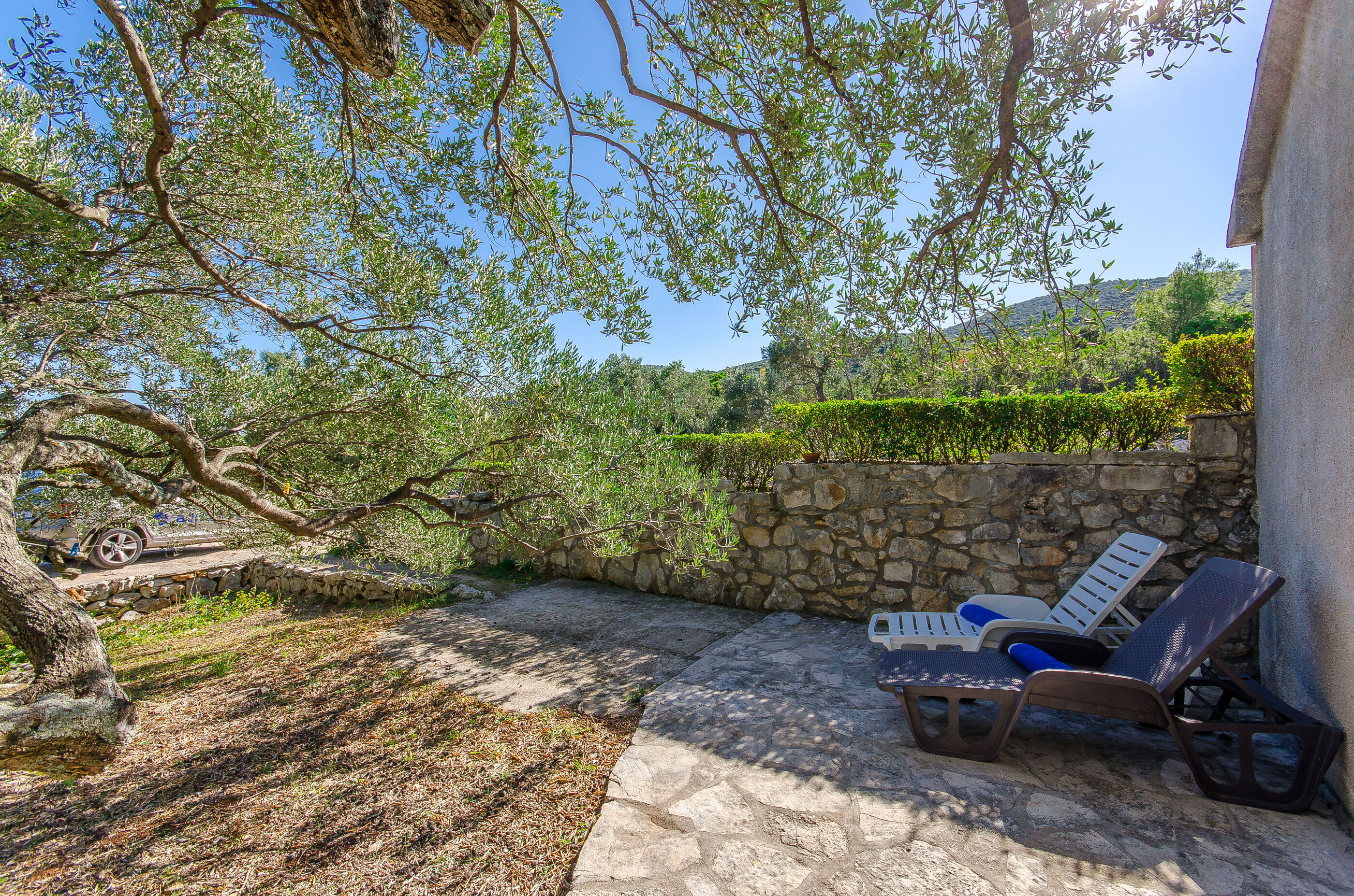 House Petar 51532-K1