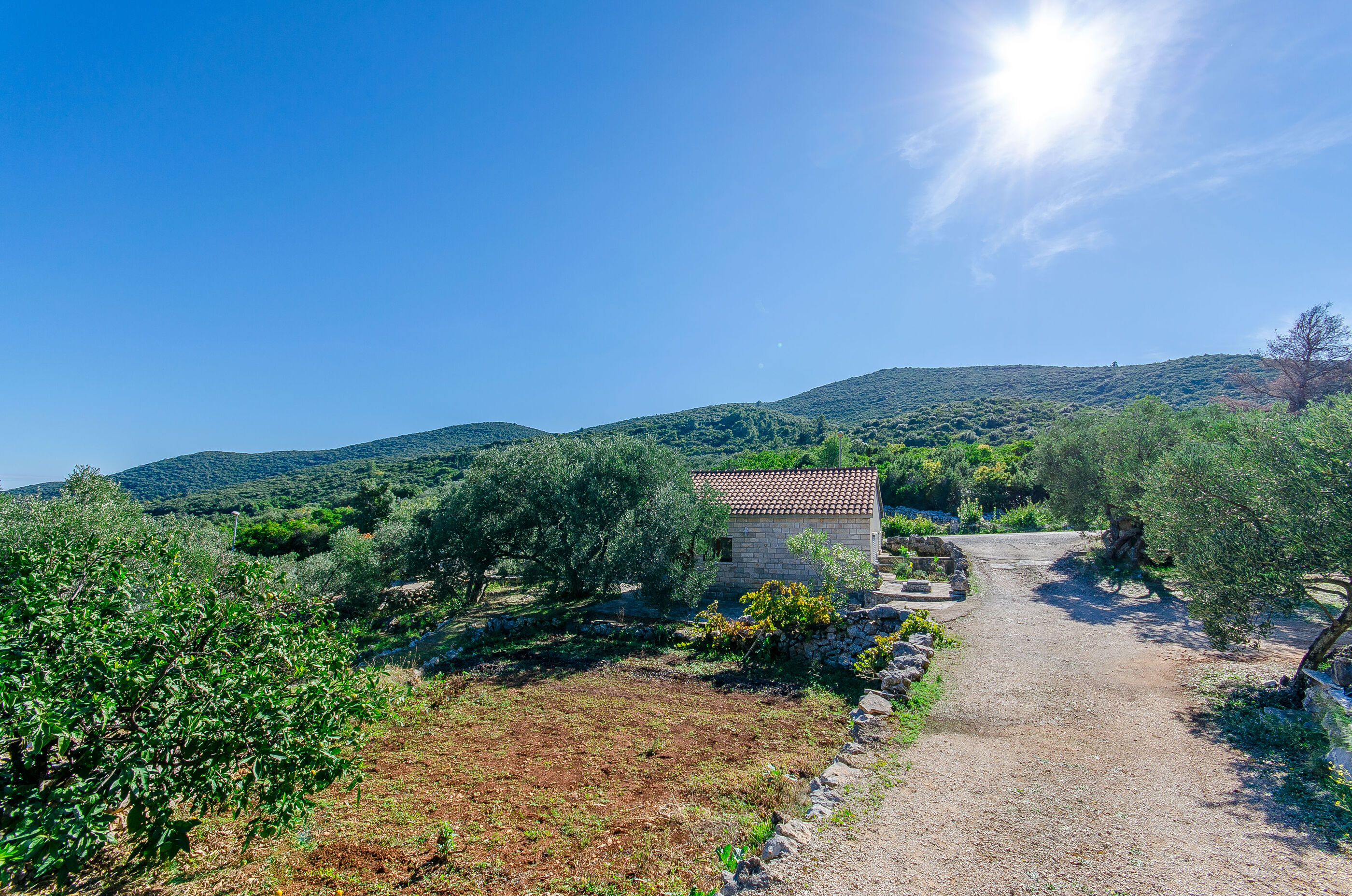 House Petar 51532-K1