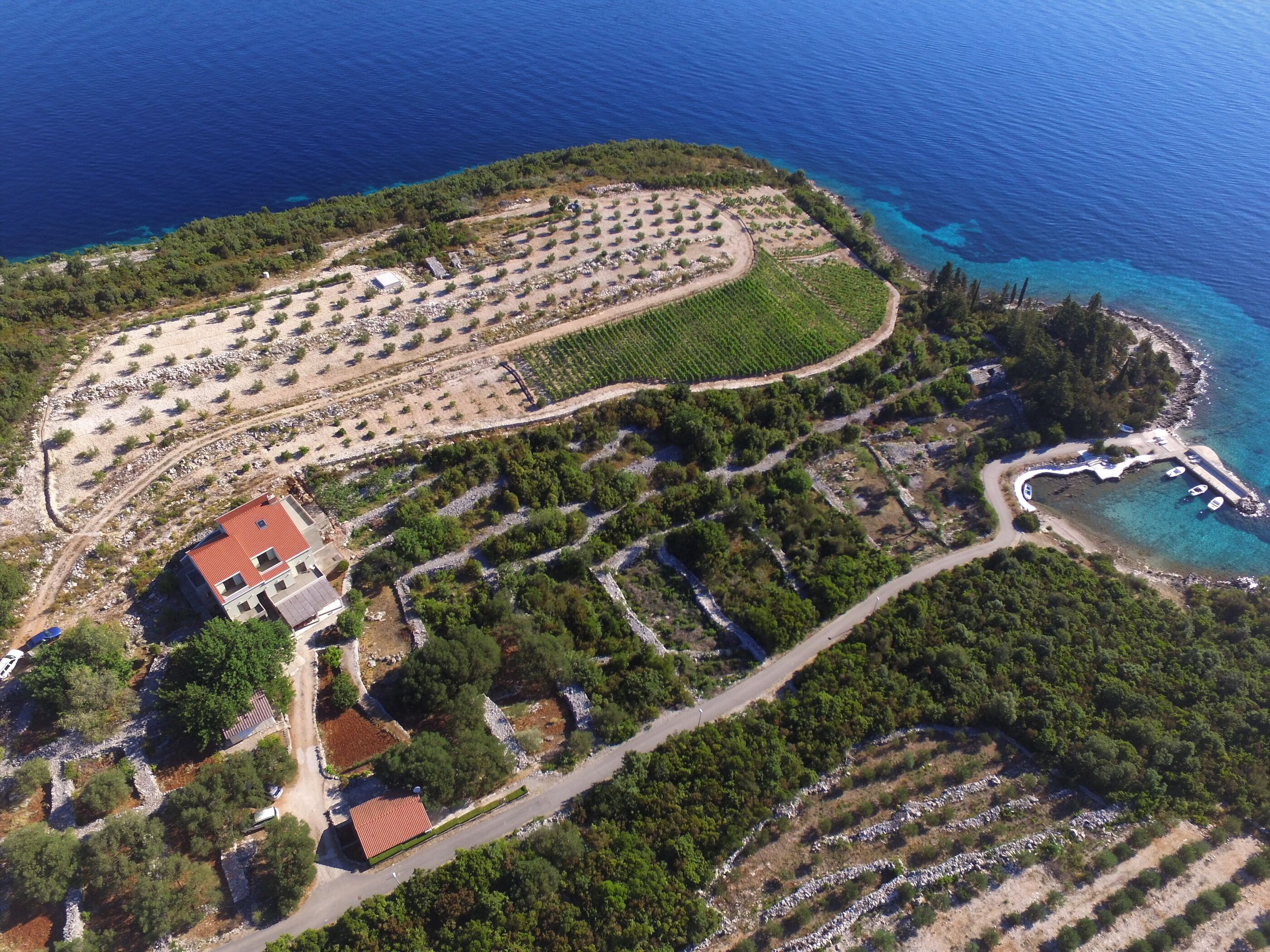 Apartments Koras 51533-A3