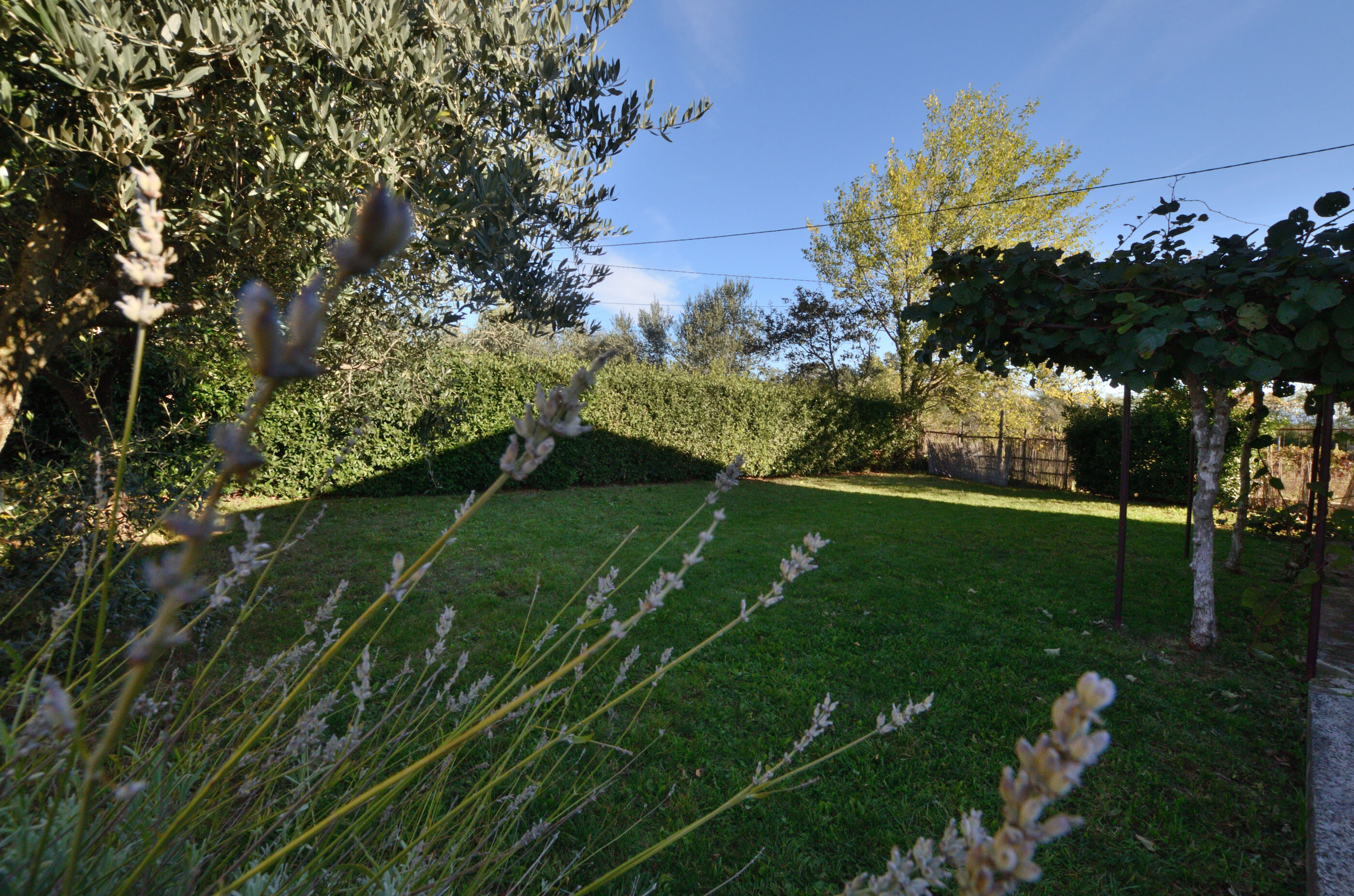 Villa Mirka V2251-K1