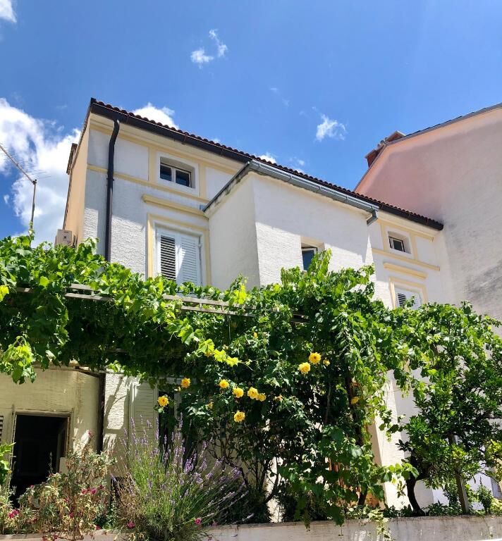 Apartments Tanya 83141-A1