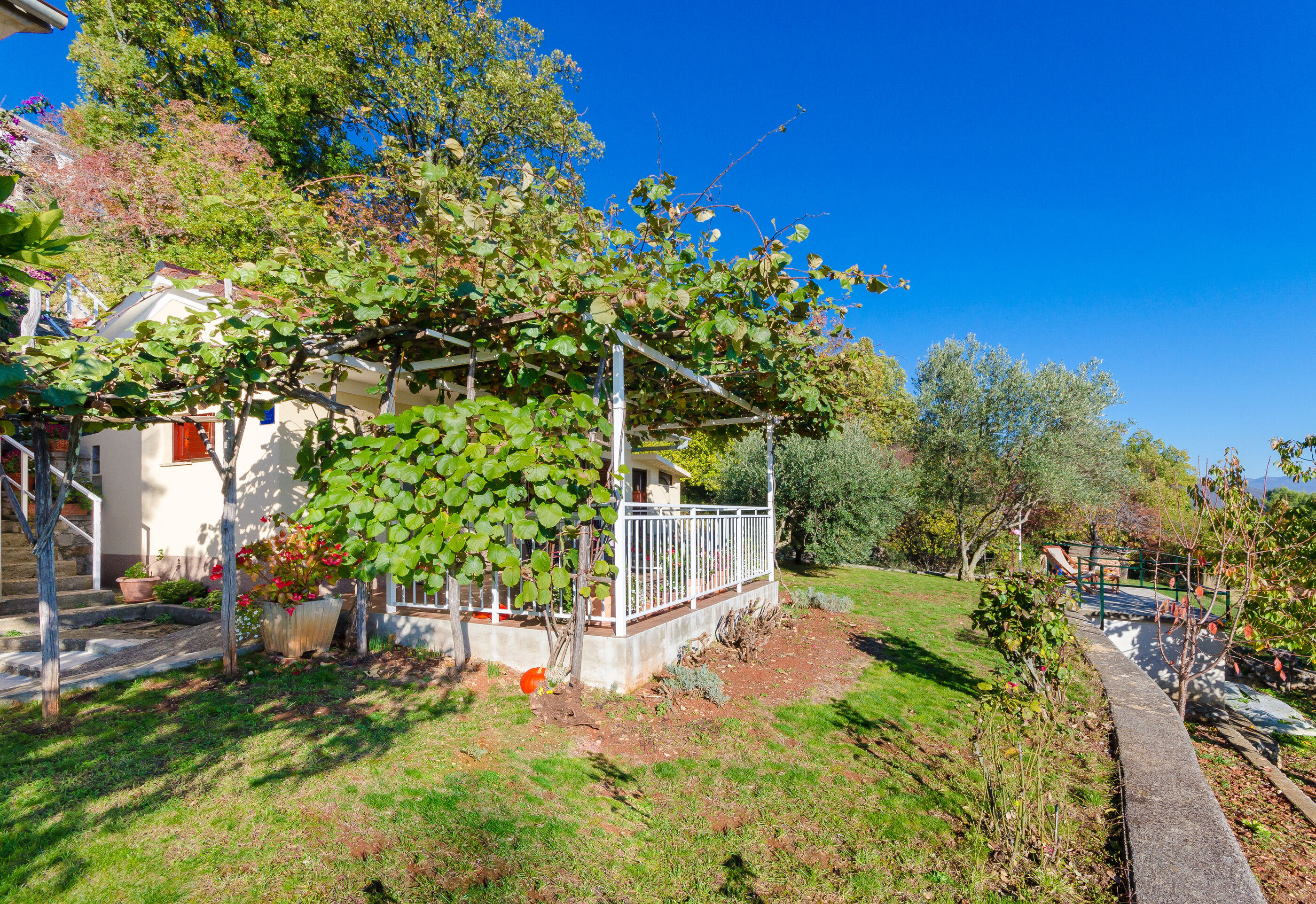 House Cvetko 87591-K1