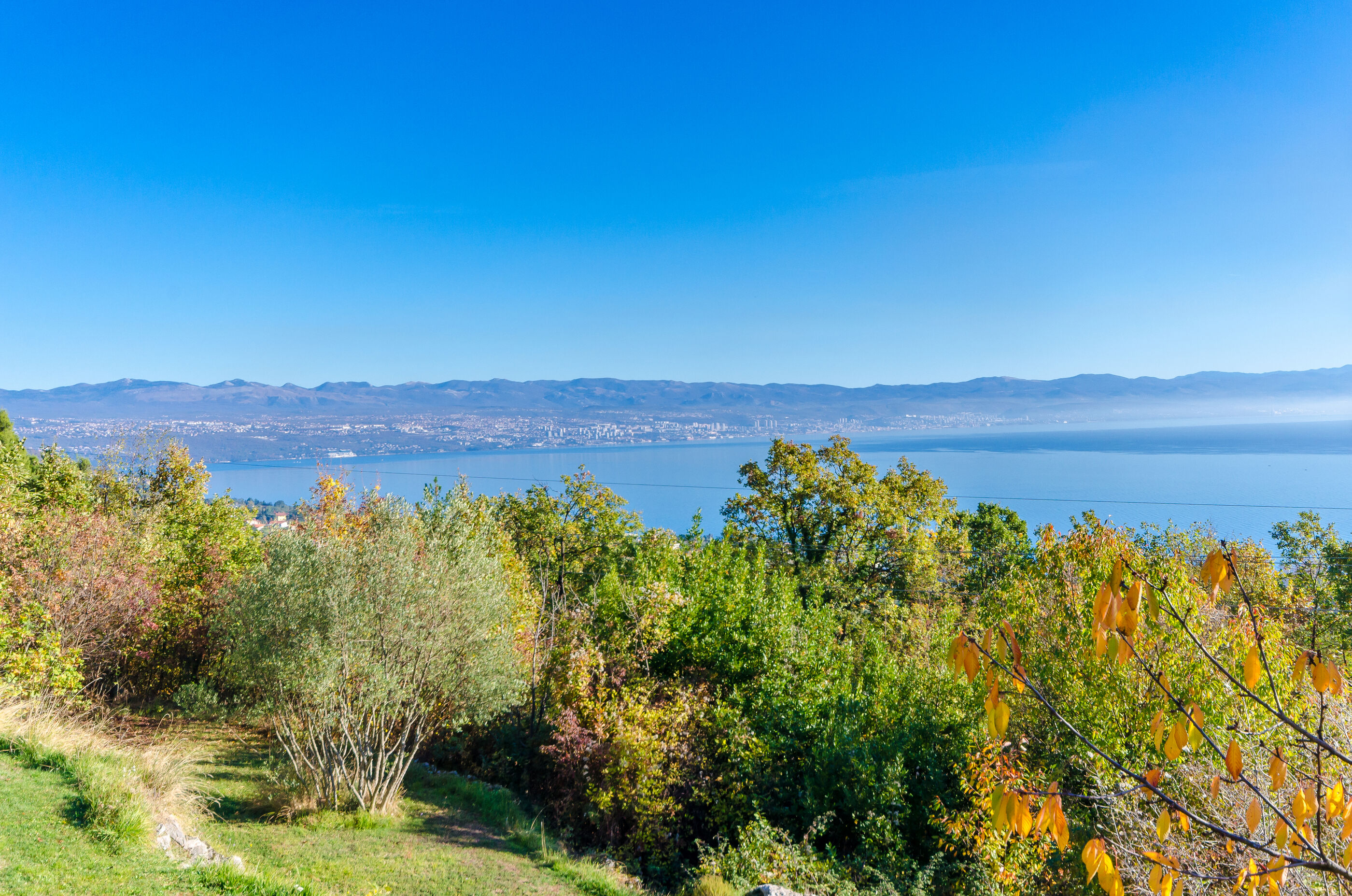 Photo of House Cvetko