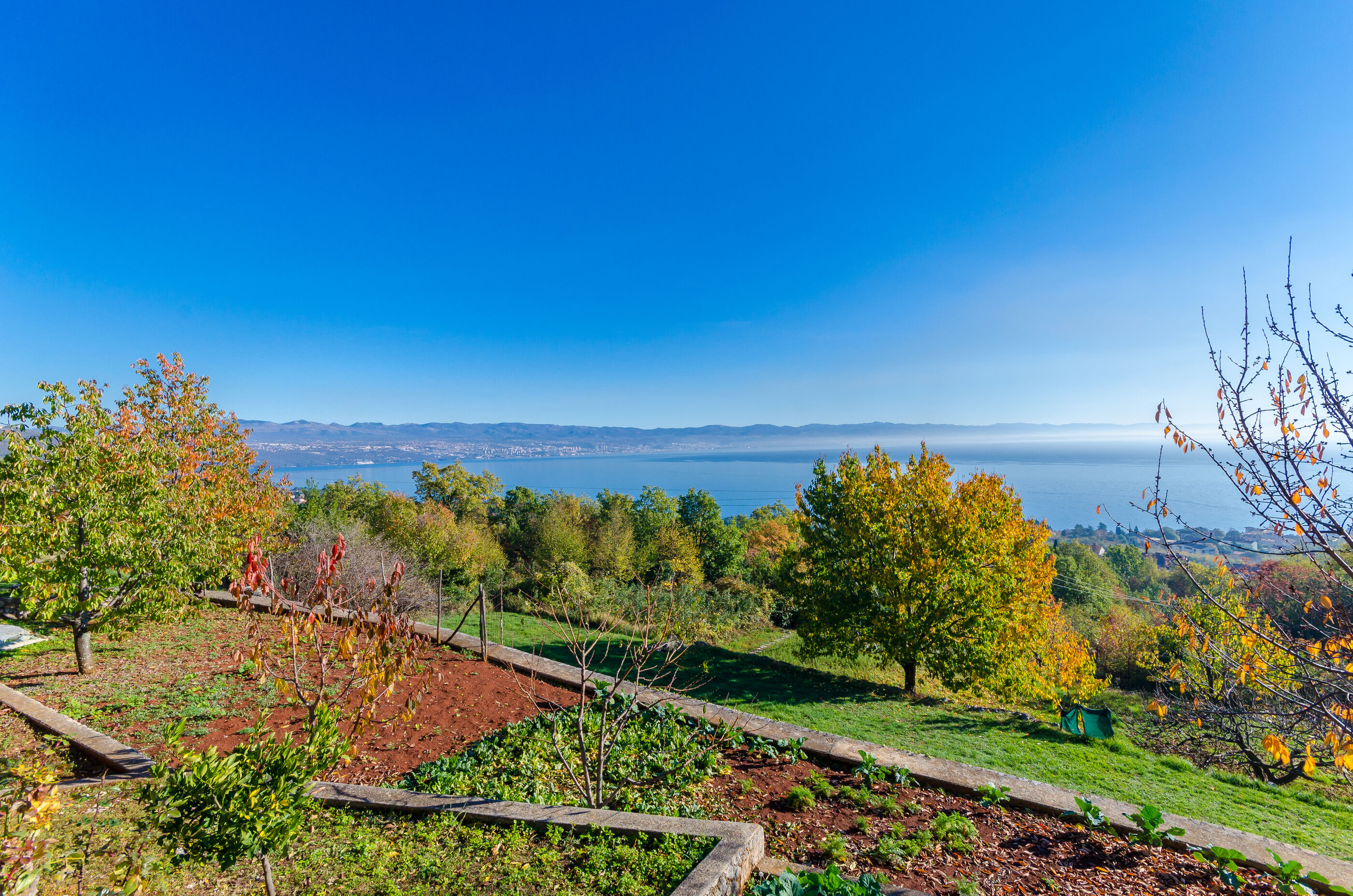 Photo of House Cvetko