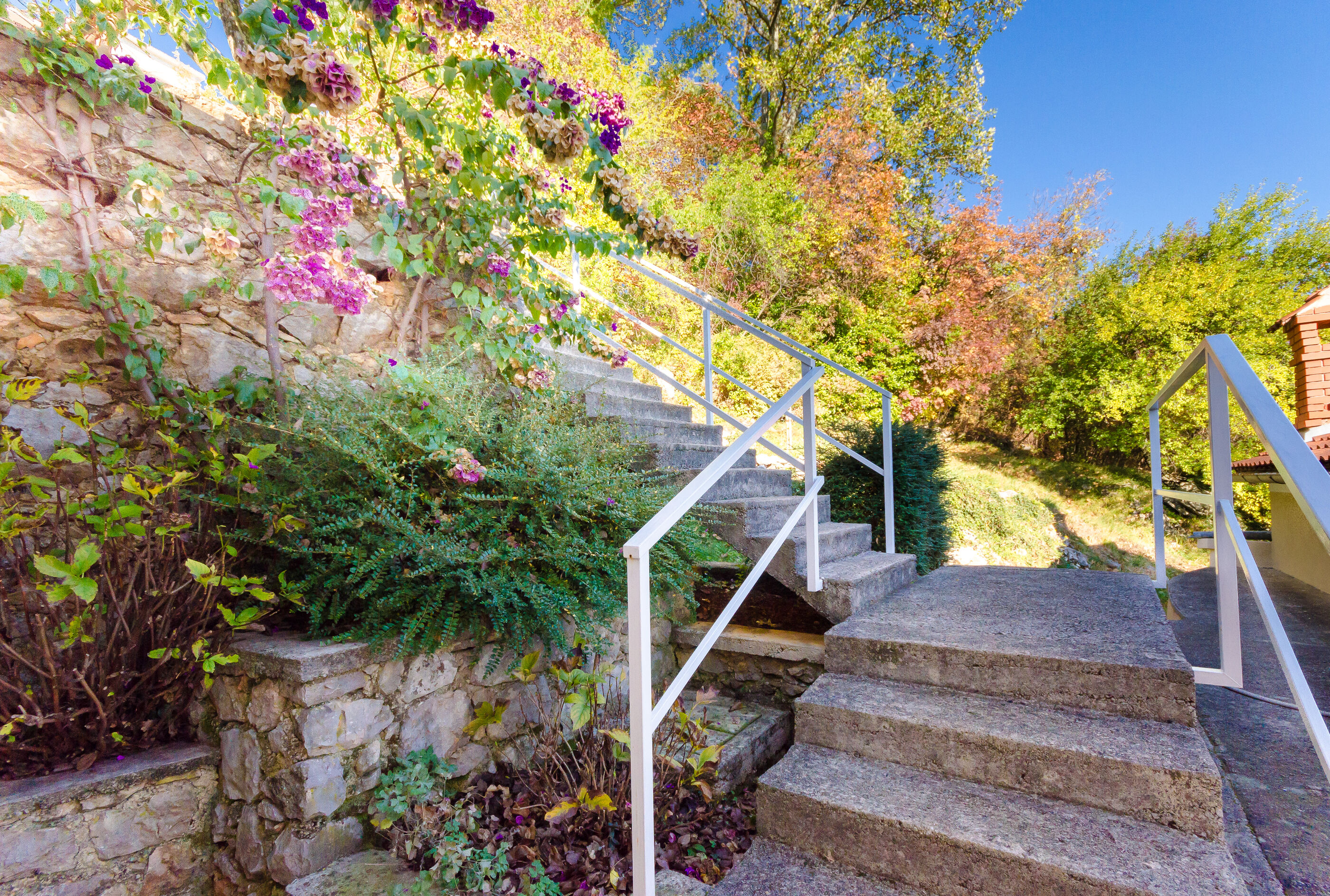 Photo of House Cvetko