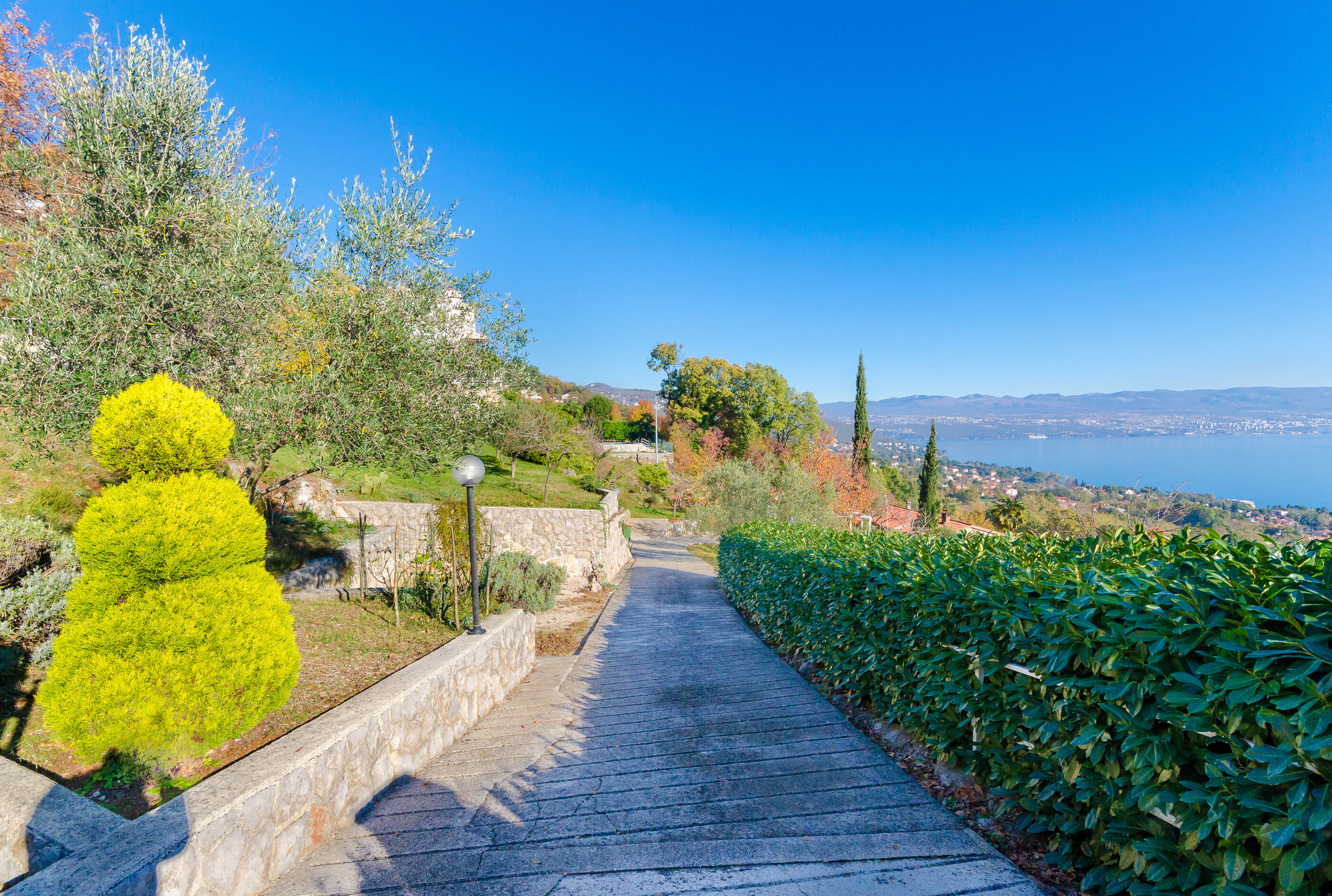 Photo of House Cvetko