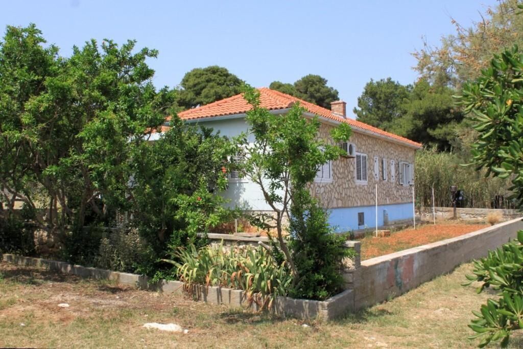 Apartment Apartmani Edi 77481-A1