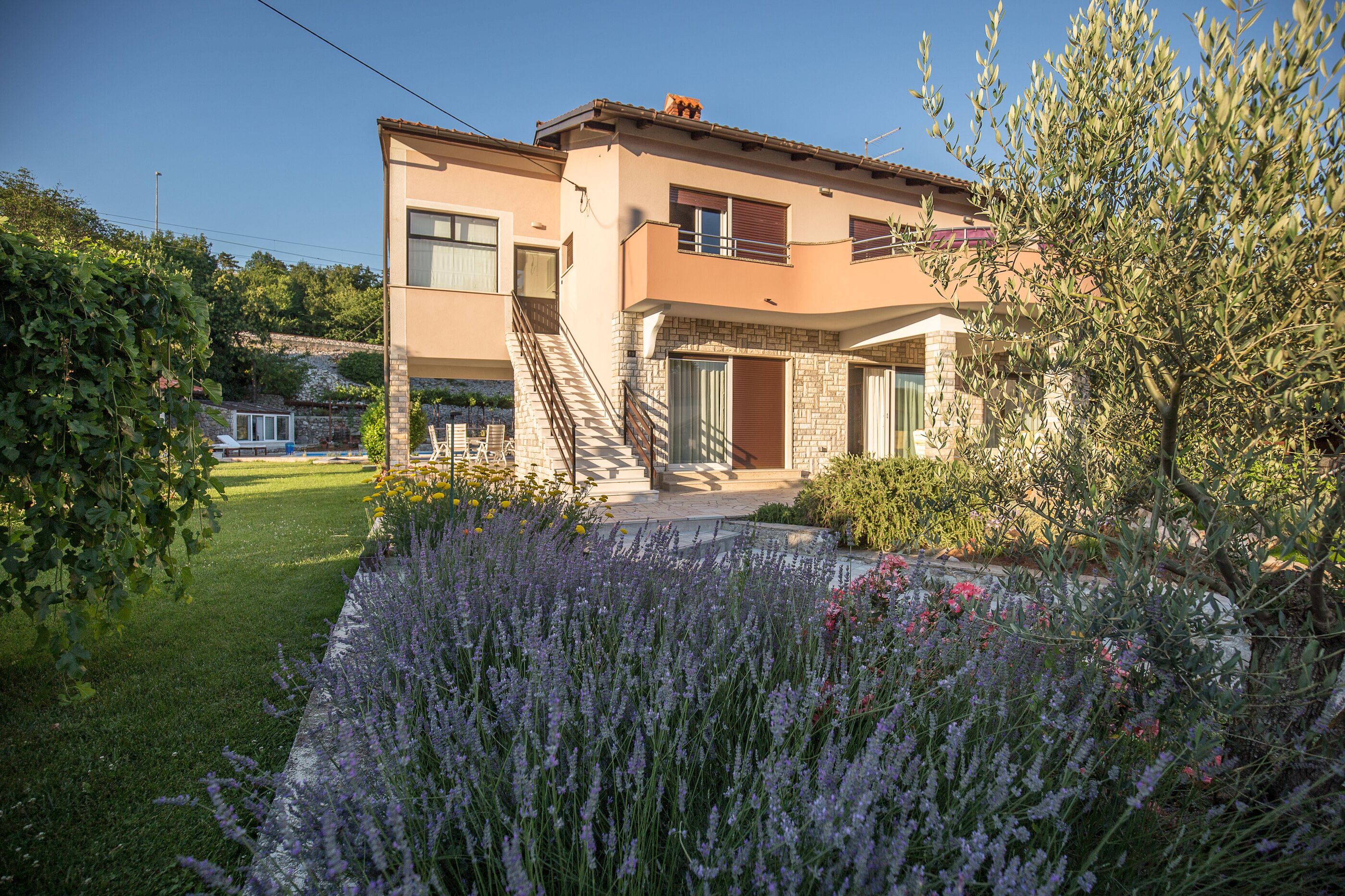 Apartment Josip 87691-A1
