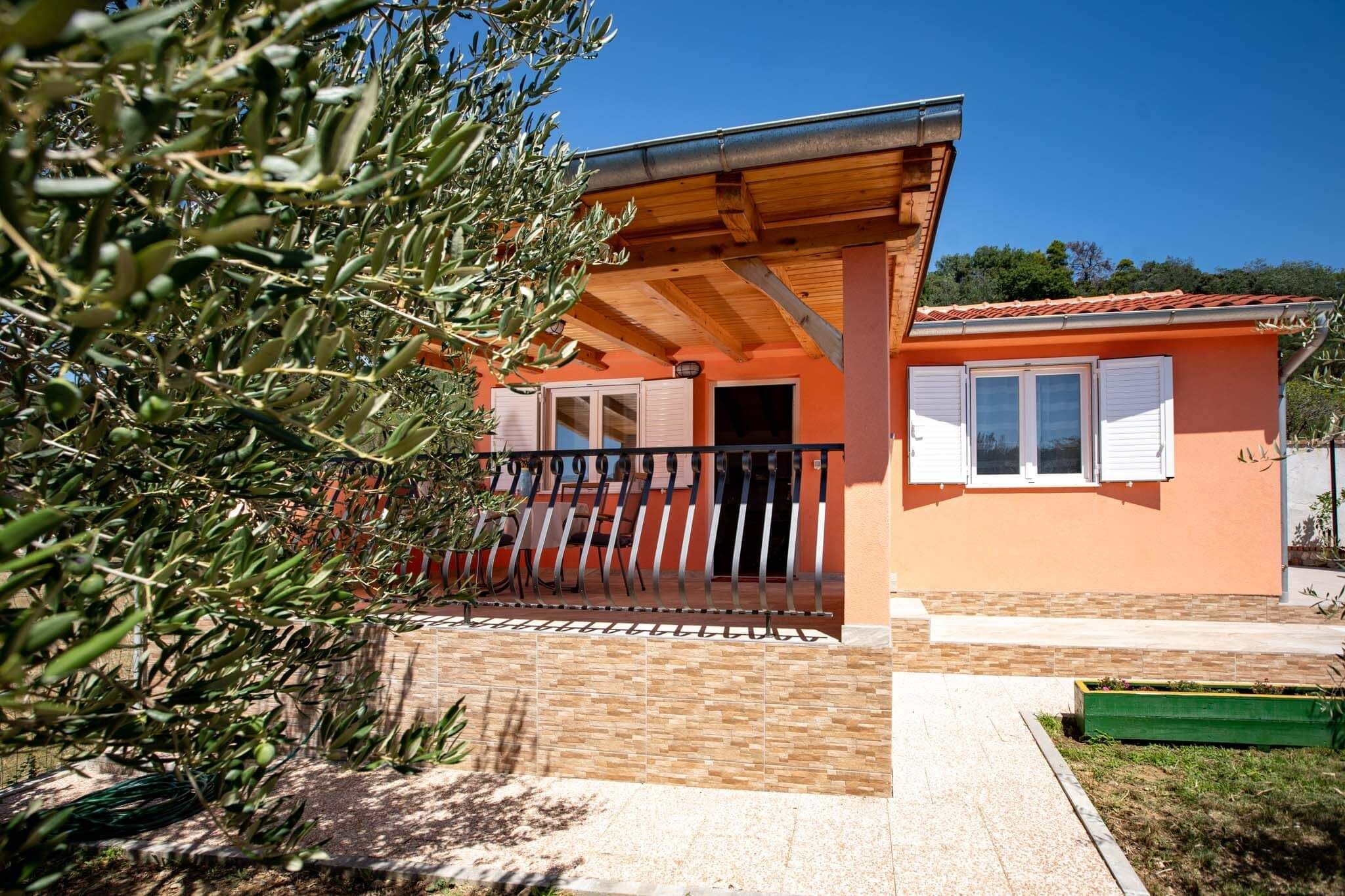 House Olive tree 60002-K1