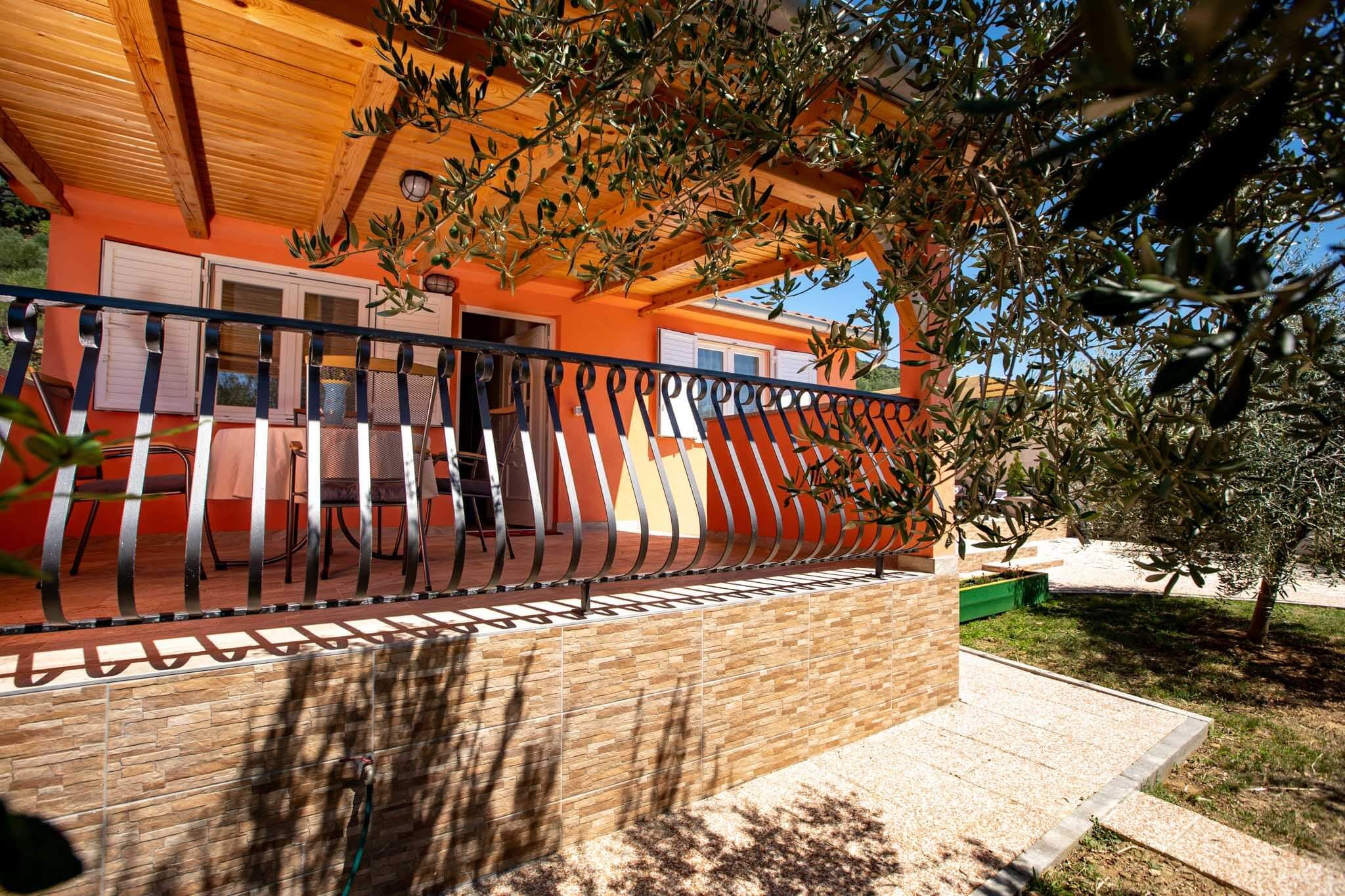 House Olive tree 60002-K1