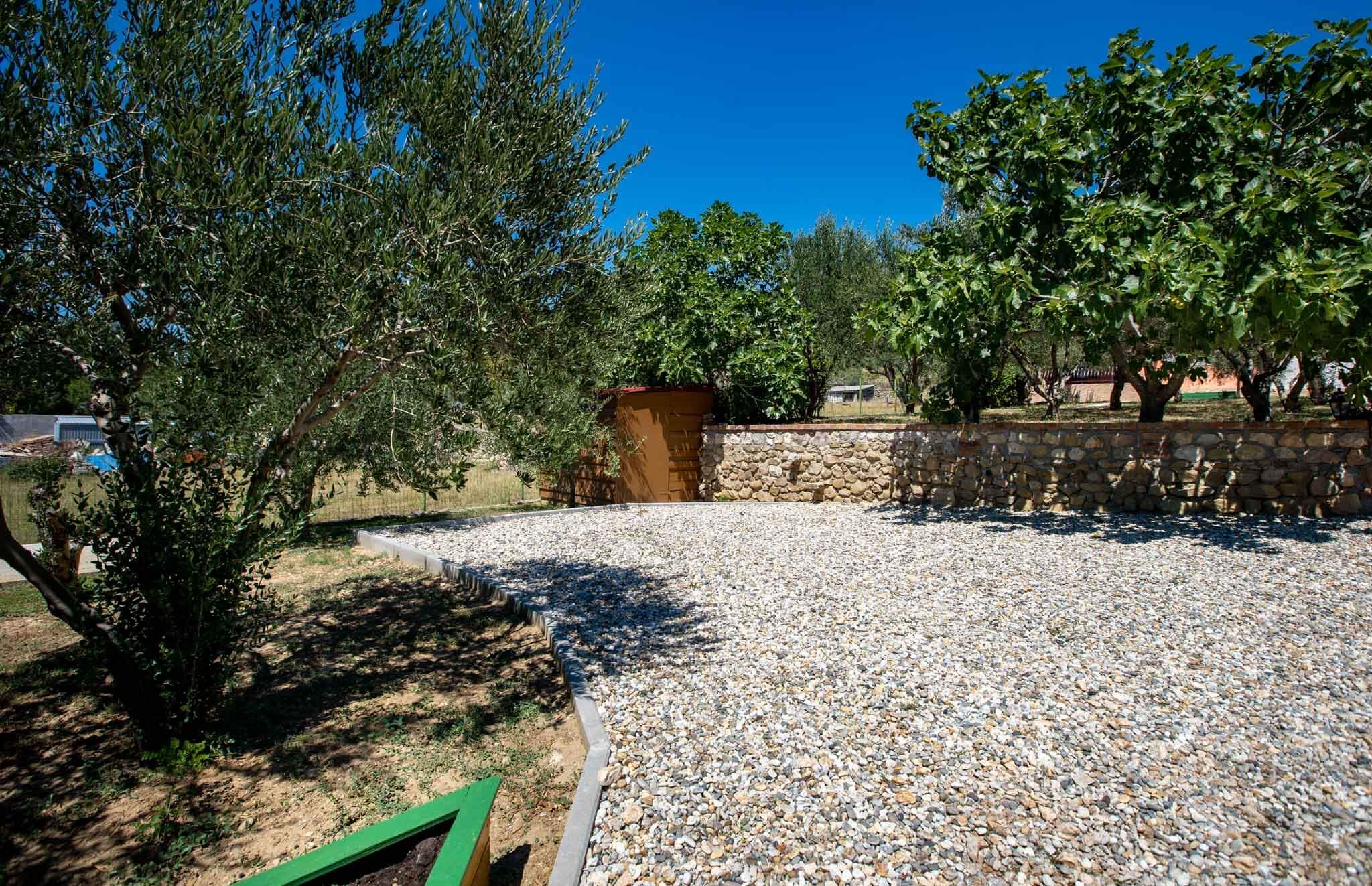 House Olive tree 60002-K1
