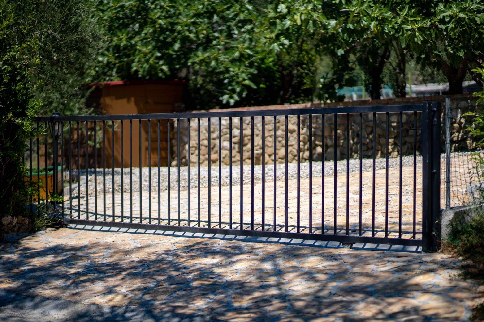 House Olive tree 60002-K1