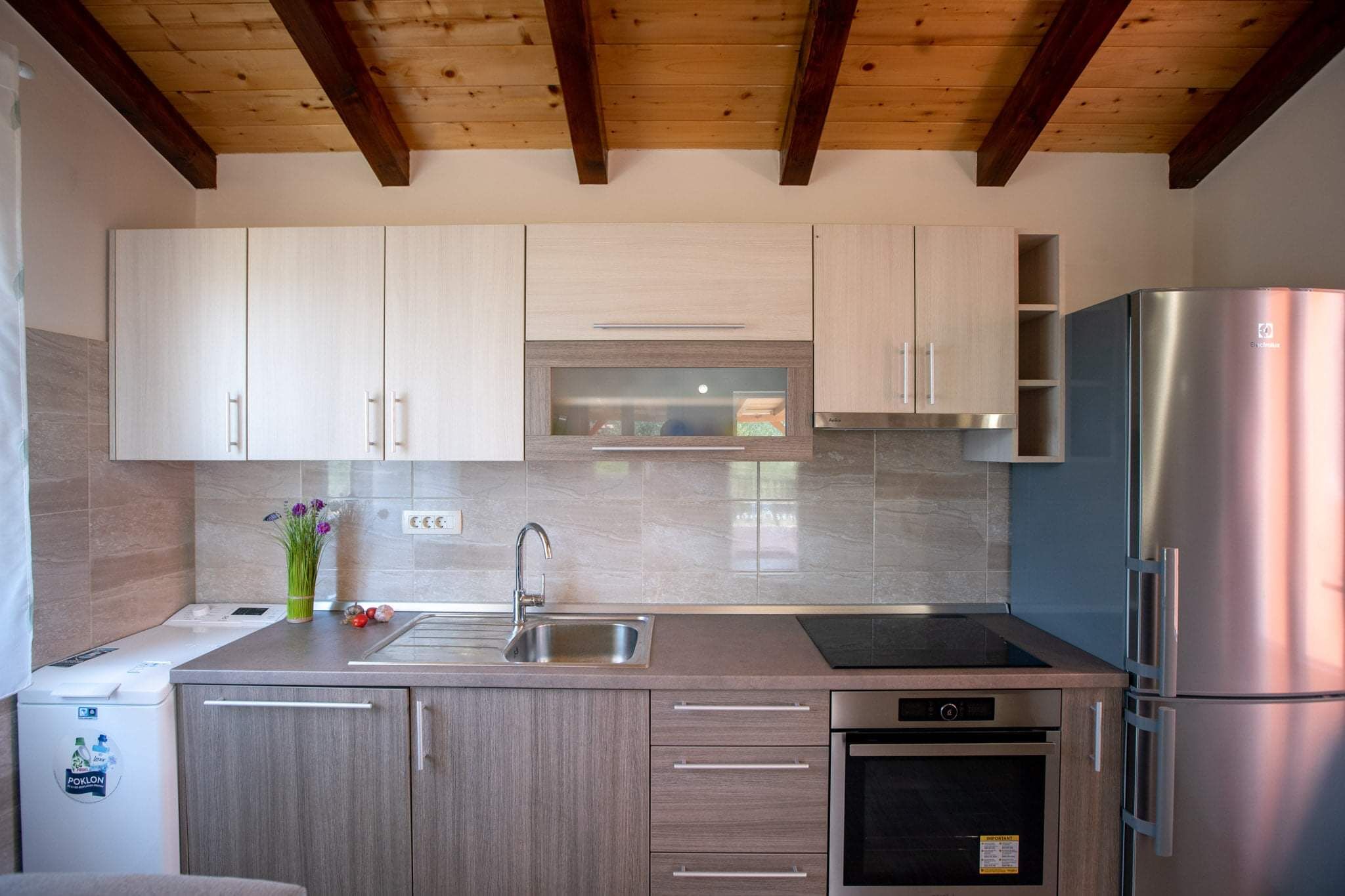 House Olive tree 60002-K1