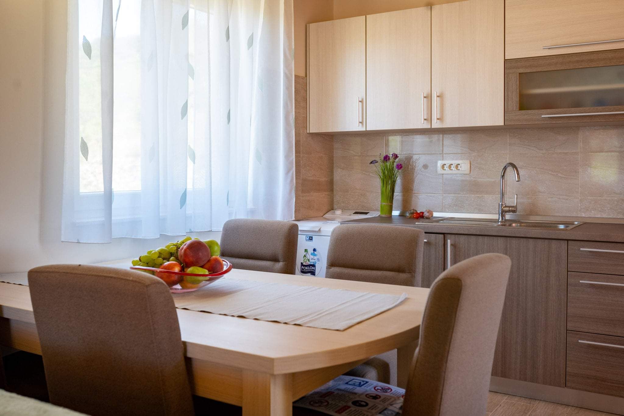 House Olive tree 60002-K1