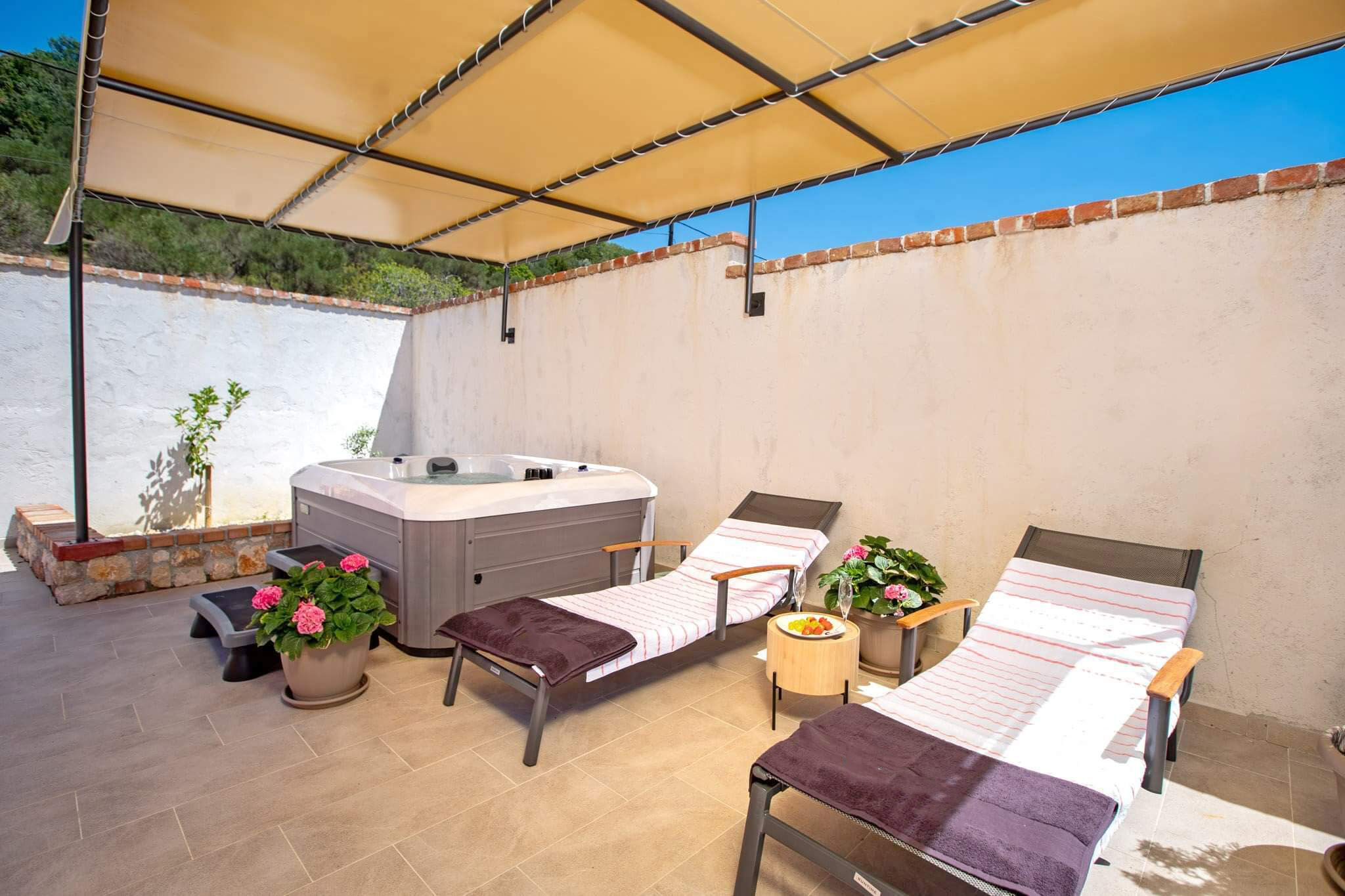 House Olive tree 60002-K1