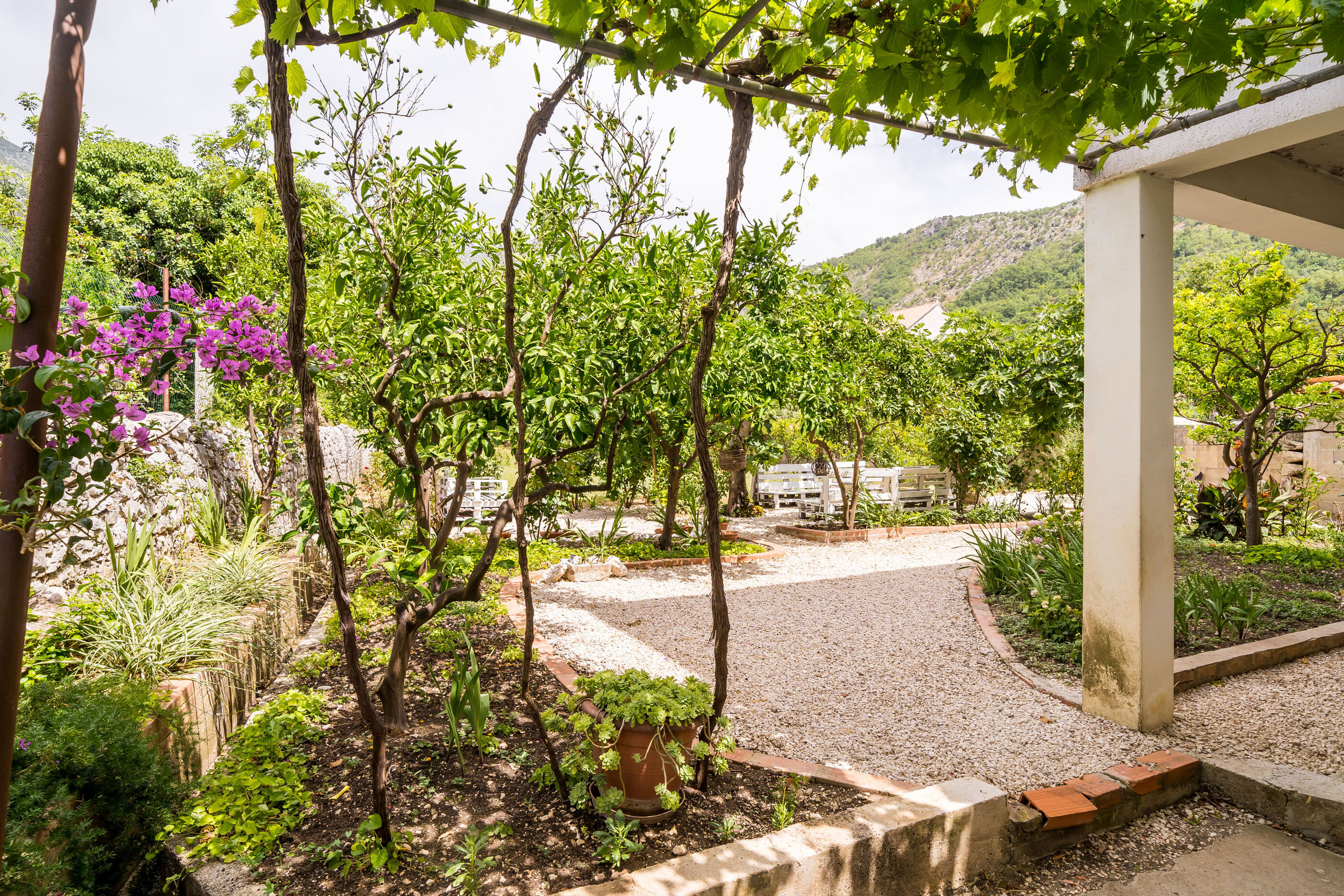 Photo of House Davor