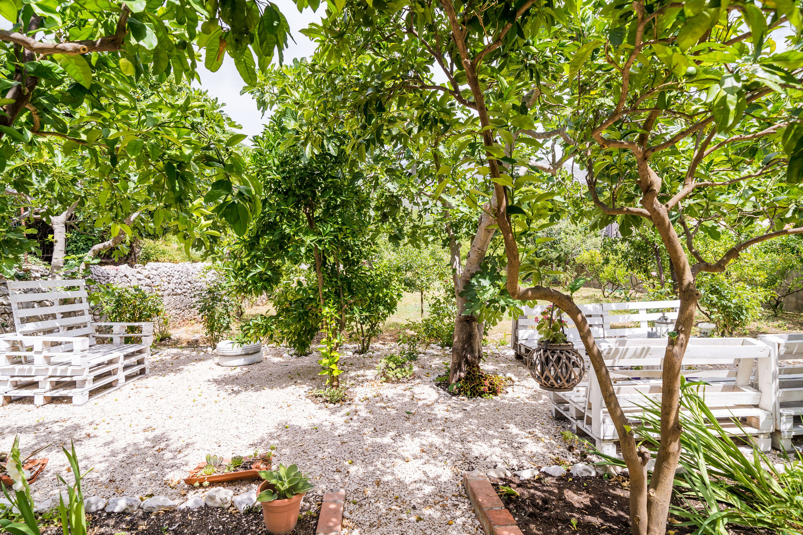 Photo of House Davor